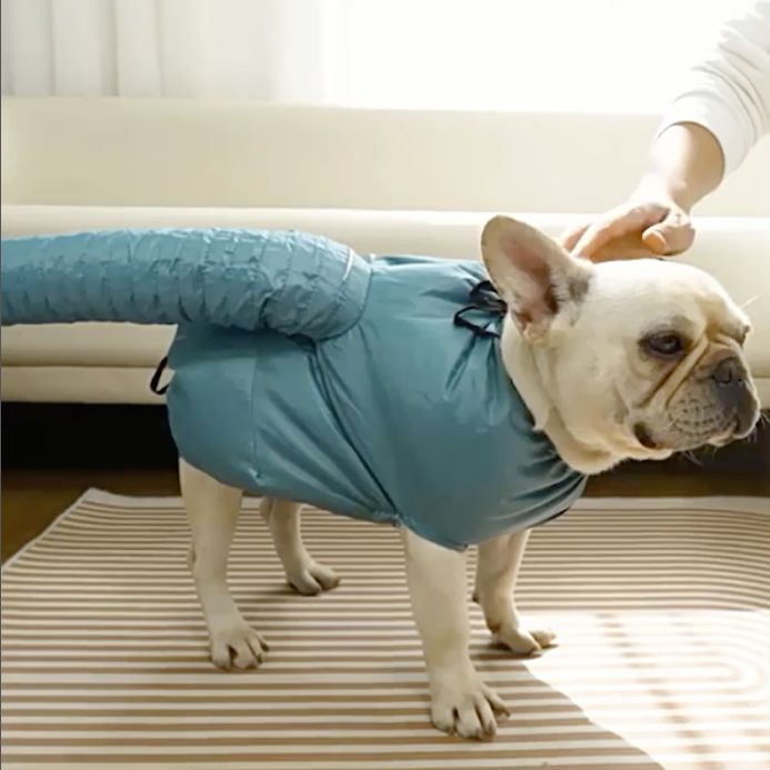 PoochDry French Bulldog Dog Accessory for Short-Nosed Dogs-fadou