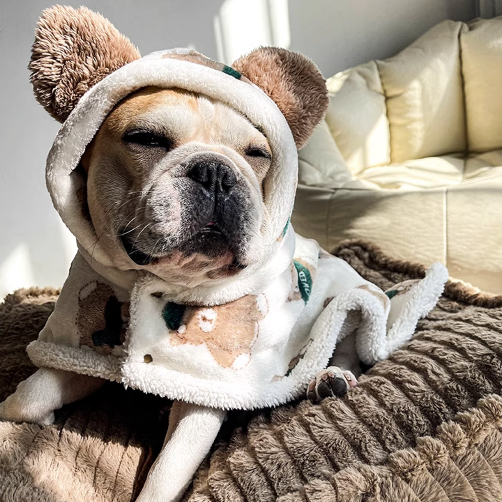 French Bulldog Cozy Warm Blanket for Frenchie Enthusiasts-fadou