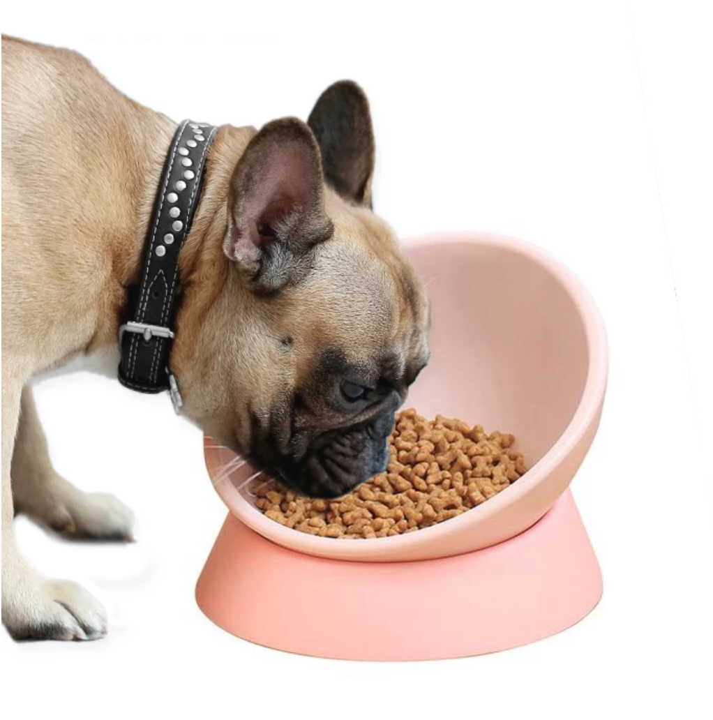 360 Degree Frenchie Bowl for Bulldog Fans for French Bulldogs-fadou