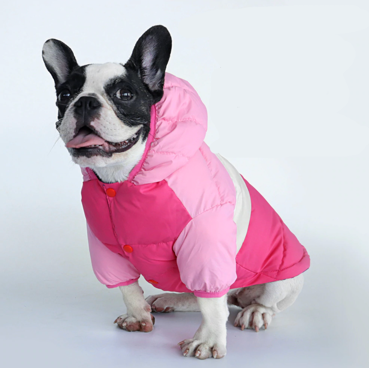 French Bulldog Waterproof Winter Jacket for Outdoor Adventures-fadou