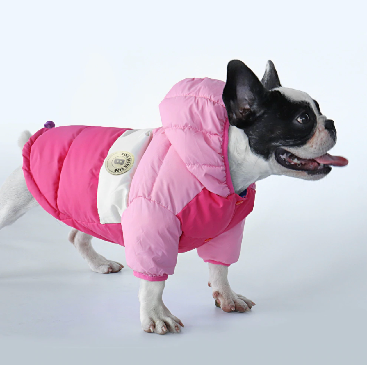 French Bulldog Waterproof Winter Jacket for Outdoor Adventures-fadou