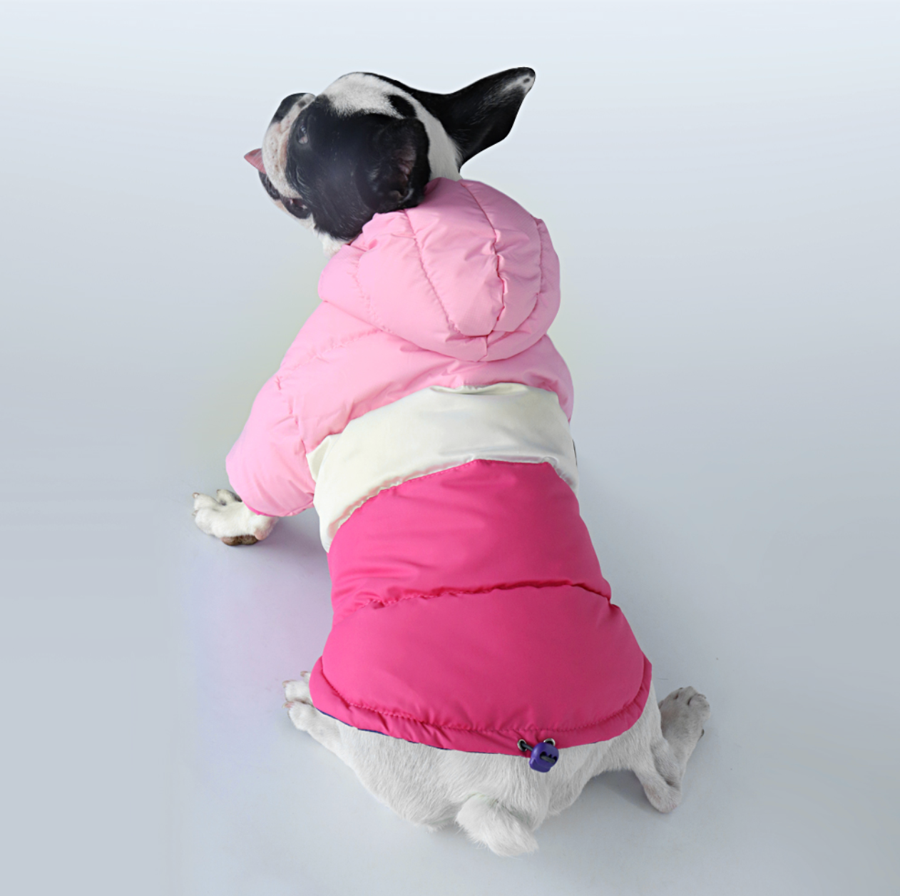 French Bulldog Waterproof Winter Jacket for Outdoor Adventures-fadou