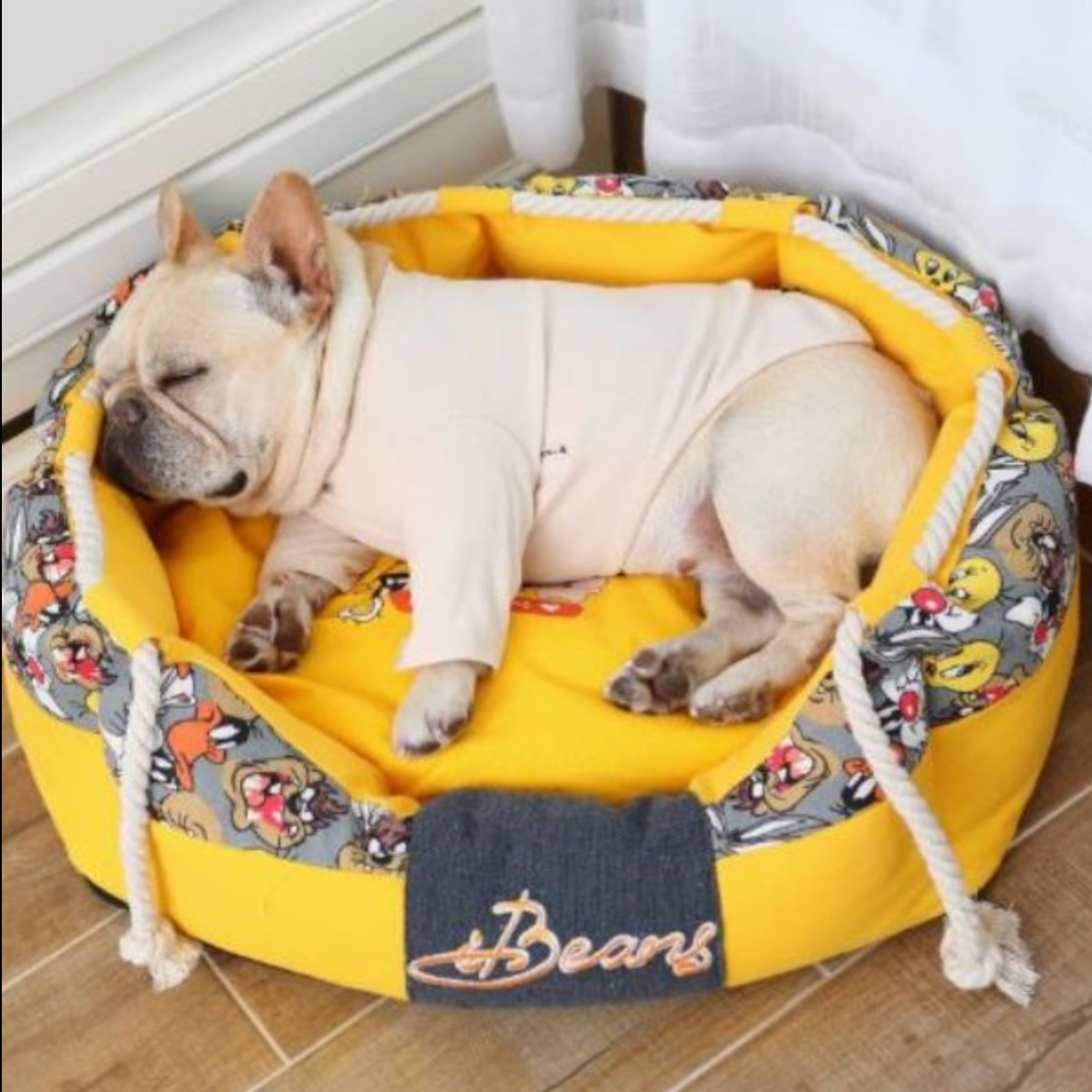 French Bulldog Comfortable Dog Lounger for Training Sessions-fadou