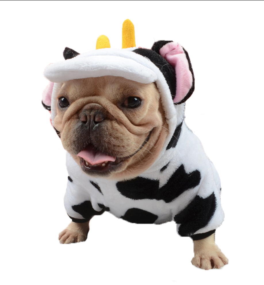 Stylish Frenchie Jumpsuits for Frenchie Fans Everywhere-fadou