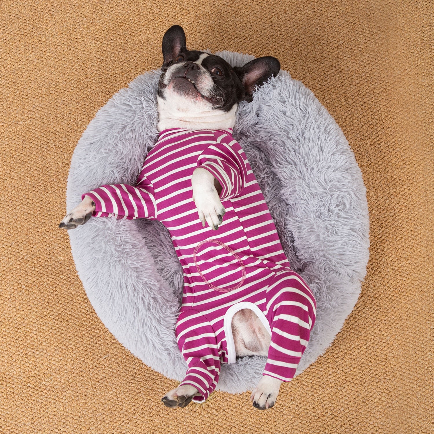 French Bulldog Stylish Cozy Pajama Set for Frenchie Fans-fadou