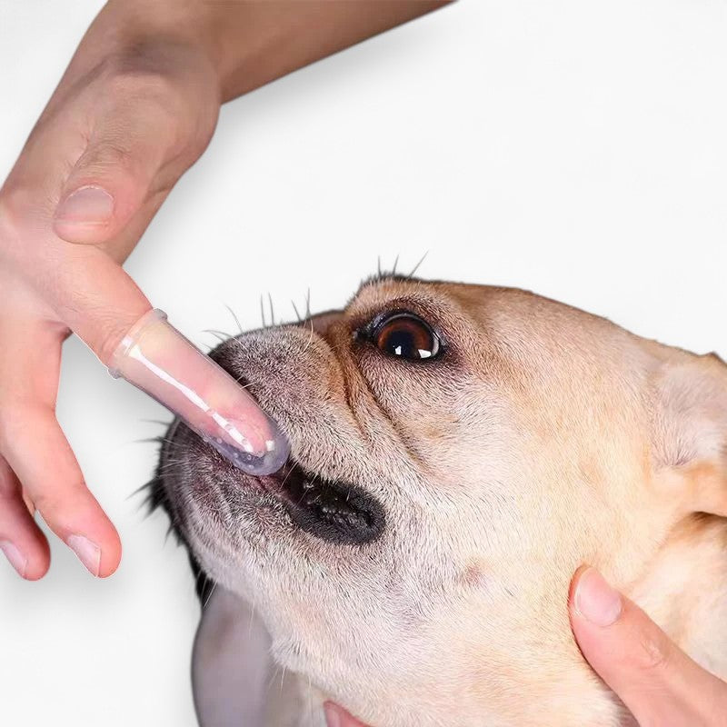 French Bulldog Soft Grooming Brush for Short-Nosed Dogs-fadou