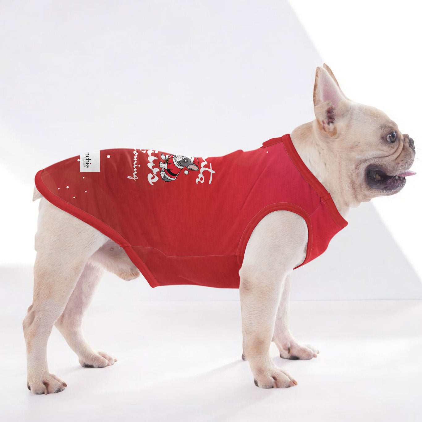 Rachelle French Bulldog Accessory for Frenchie Enthusiasts-fadou