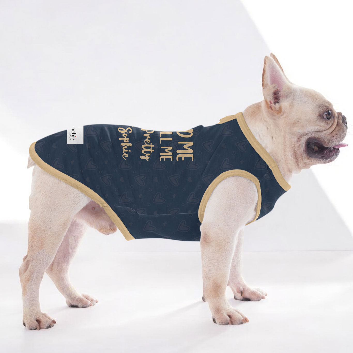 French Bulldog Personalized Dog Outfit for Outdoor Adventures-fadou