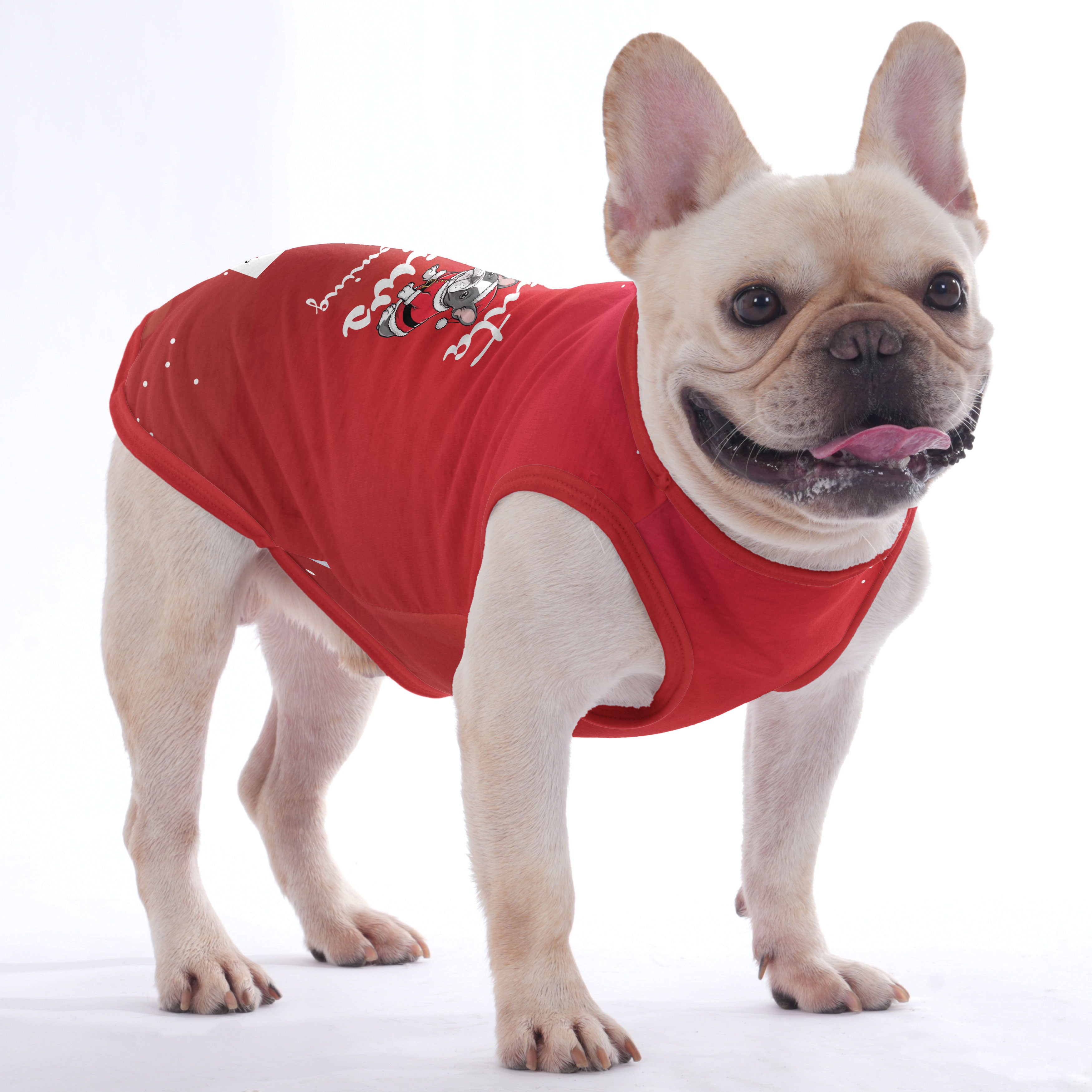 Rachelle French Bulldog Accessory for Frenchie Enthusiasts-fadou