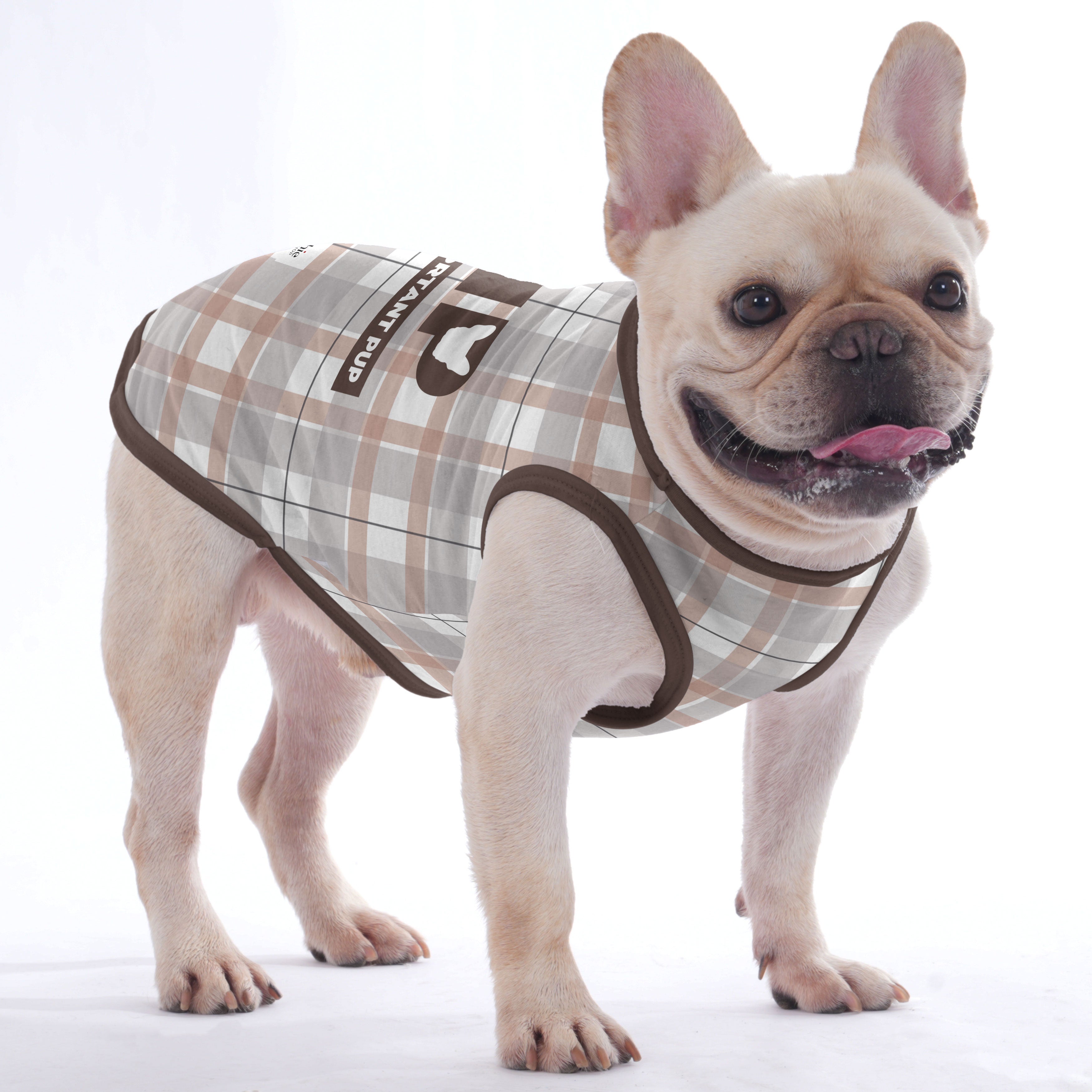 Quincy French Bulldog Cotton Tee for Outdoor Adventures-fadou