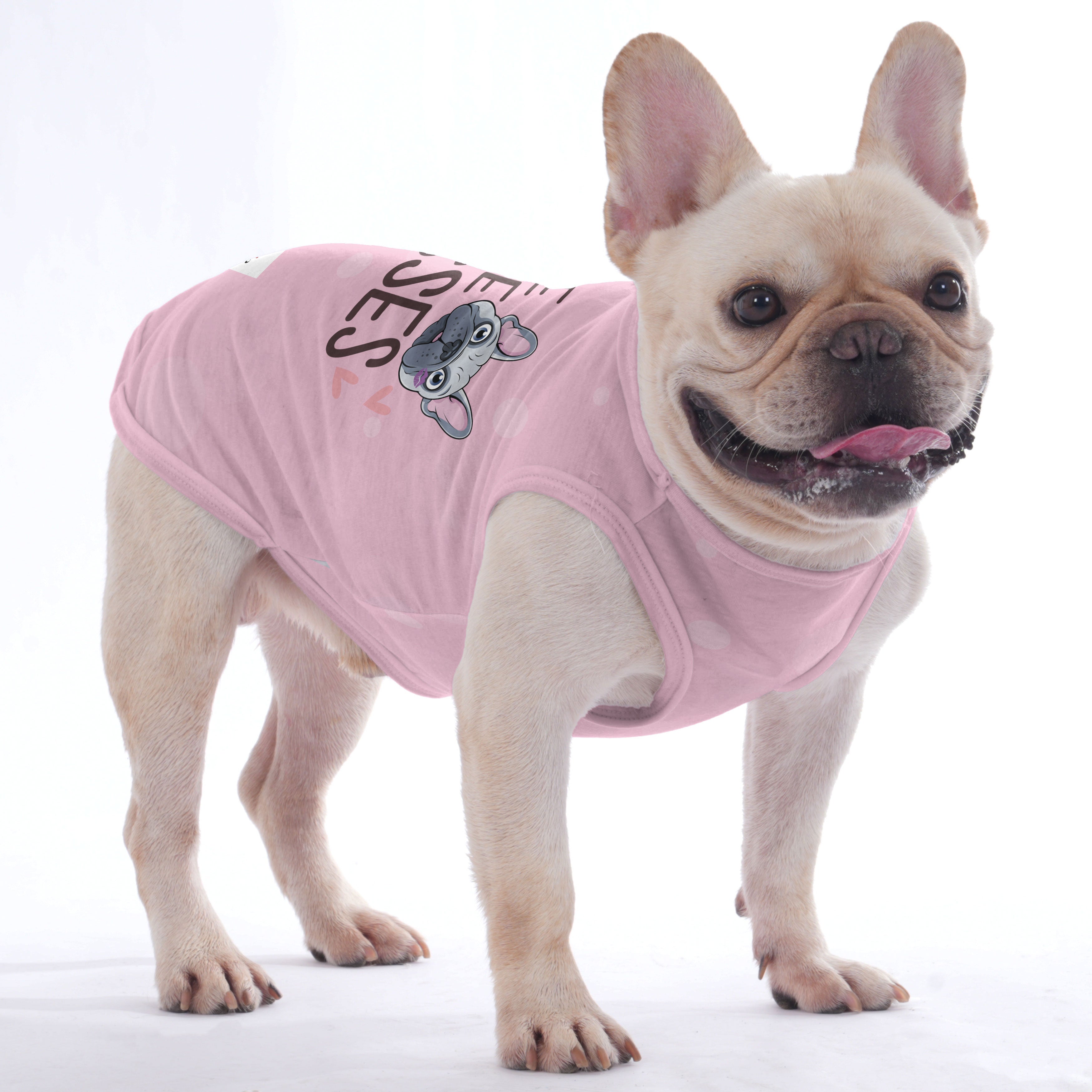Patric French Bulldog Dog Outfit for Outdoor Adventures-fadou
