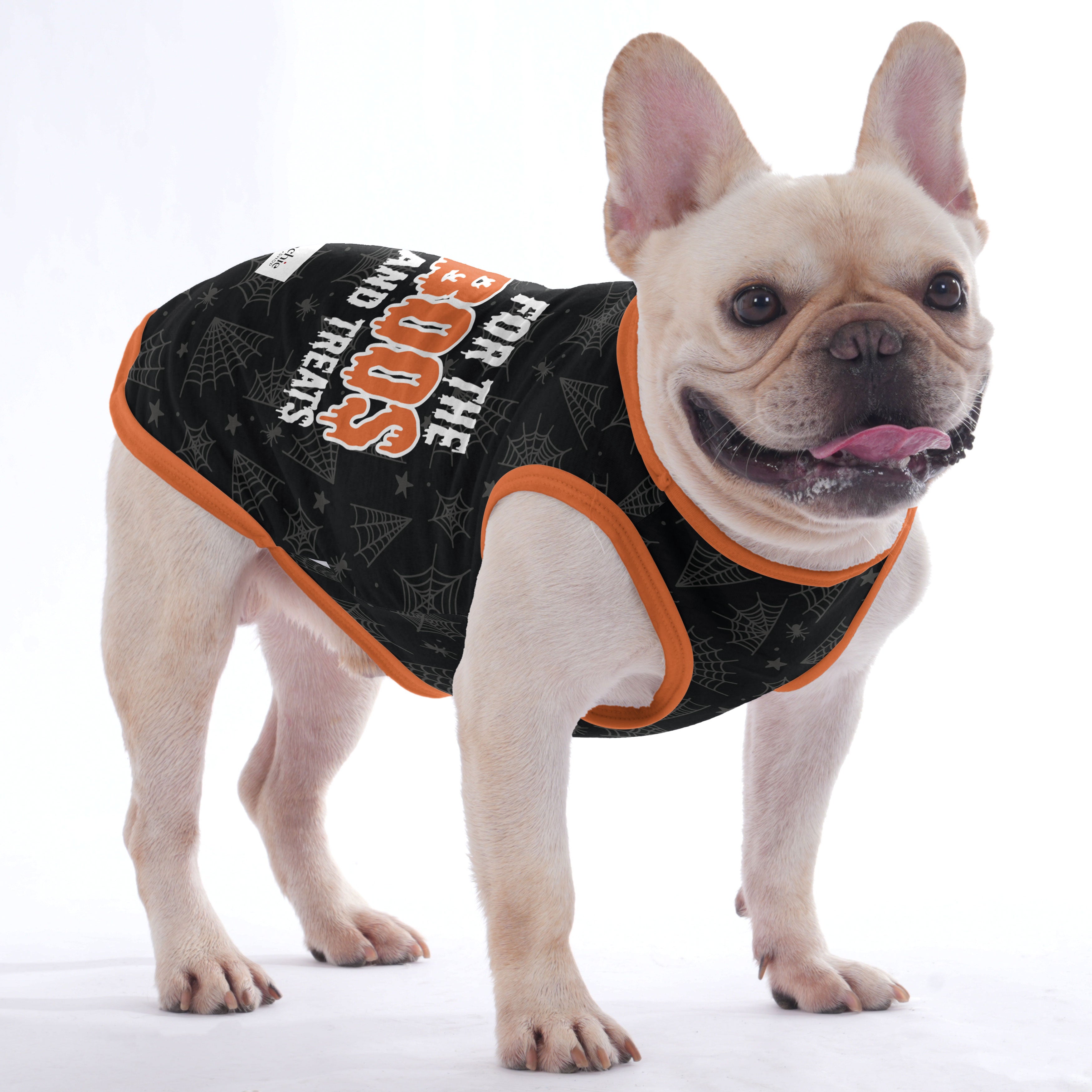 The BOOS - Shirt for Frenchies - Frenchie Shop Original for Playtime Fun-fadou
