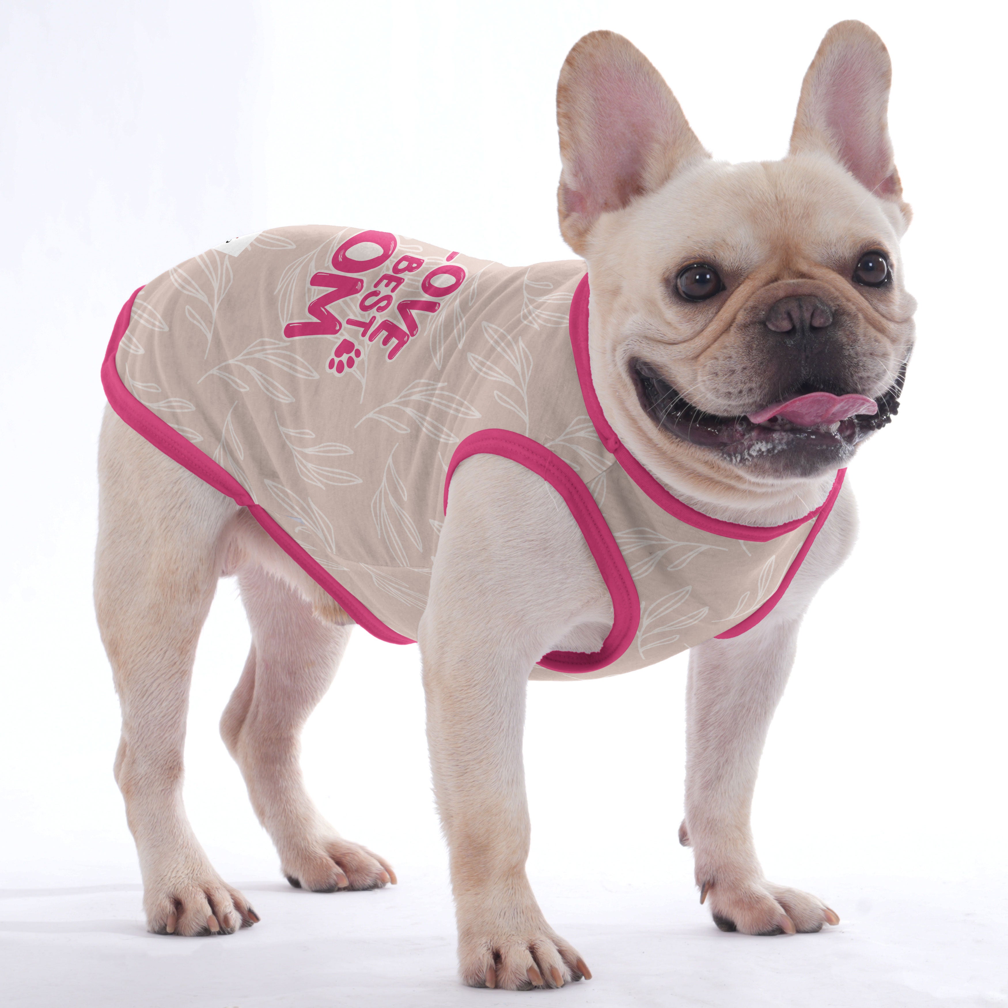 Odelette French Bulldog Dog Outfit for Brachycephalic Dogs-fadou