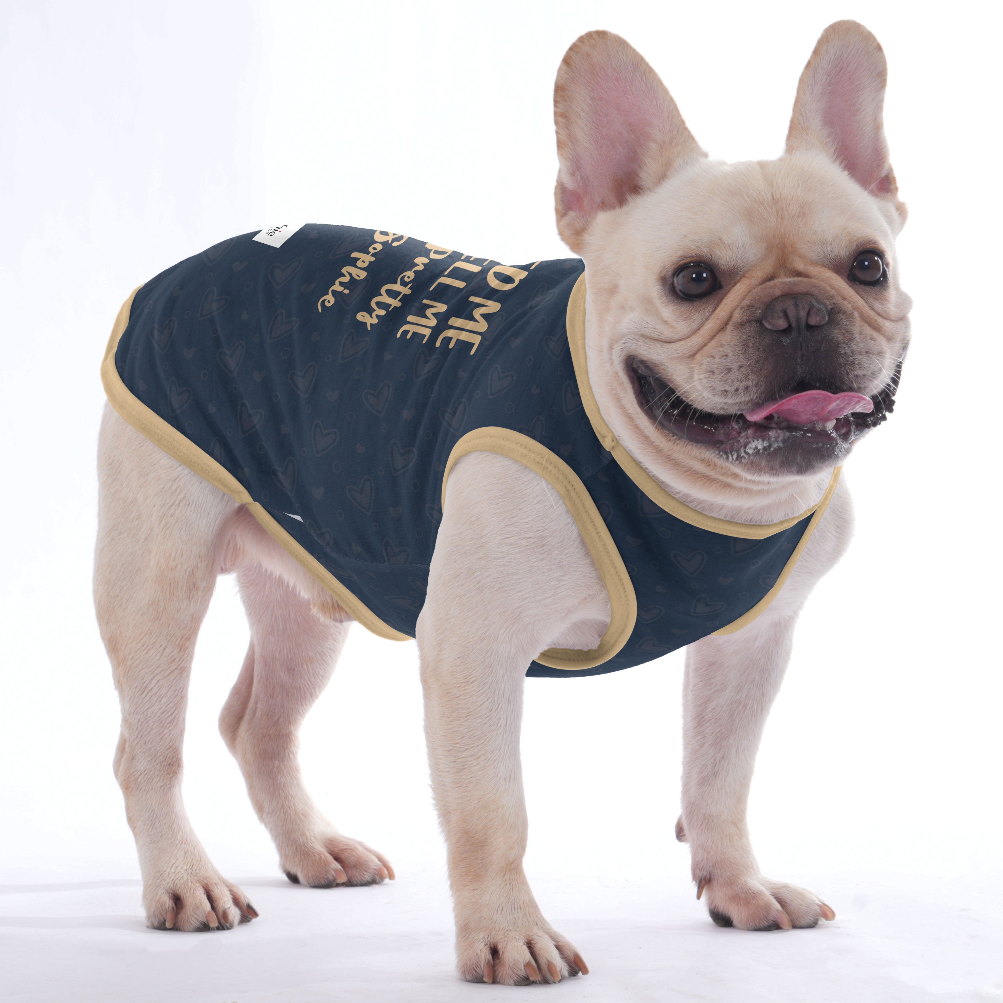 French Bulldog Personalized Dog Outfit for Outdoor Adventures-fadou