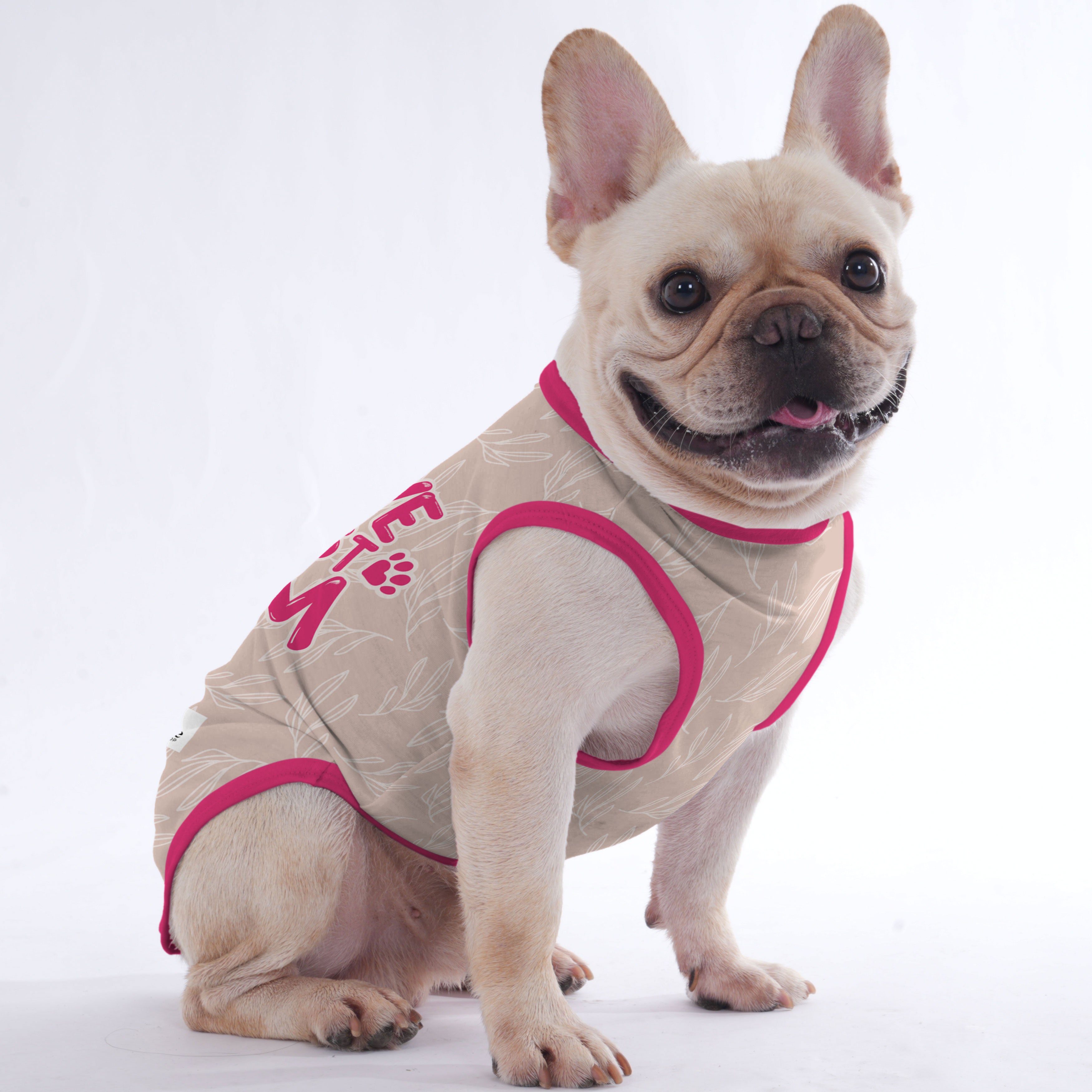 Odelette French Bulldog Dog Outfit for Brachycephalic Dogs-fadou