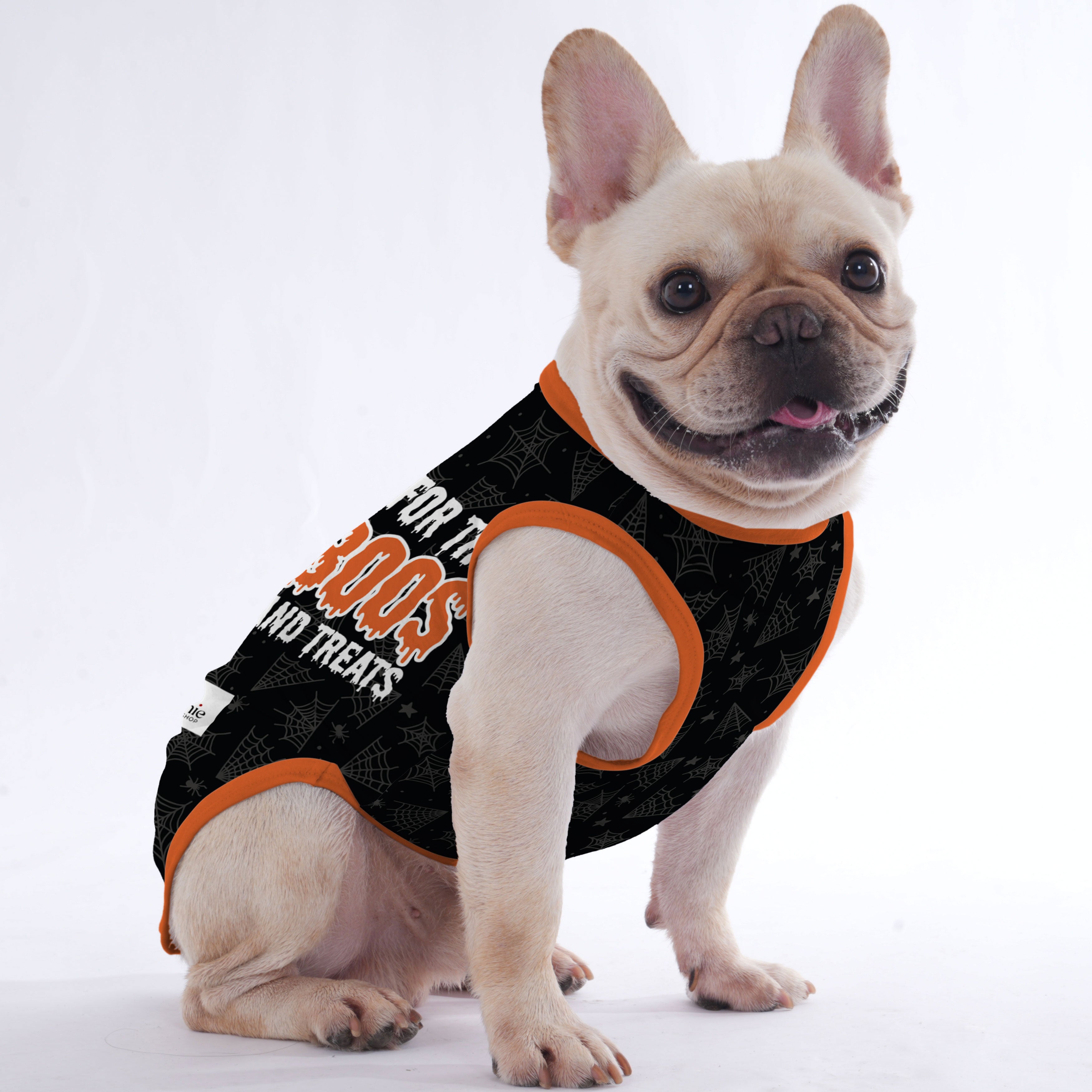 The BOOS - Shirt for Frenchies - Frenchie Shop Original for Playtime Fun-fadou