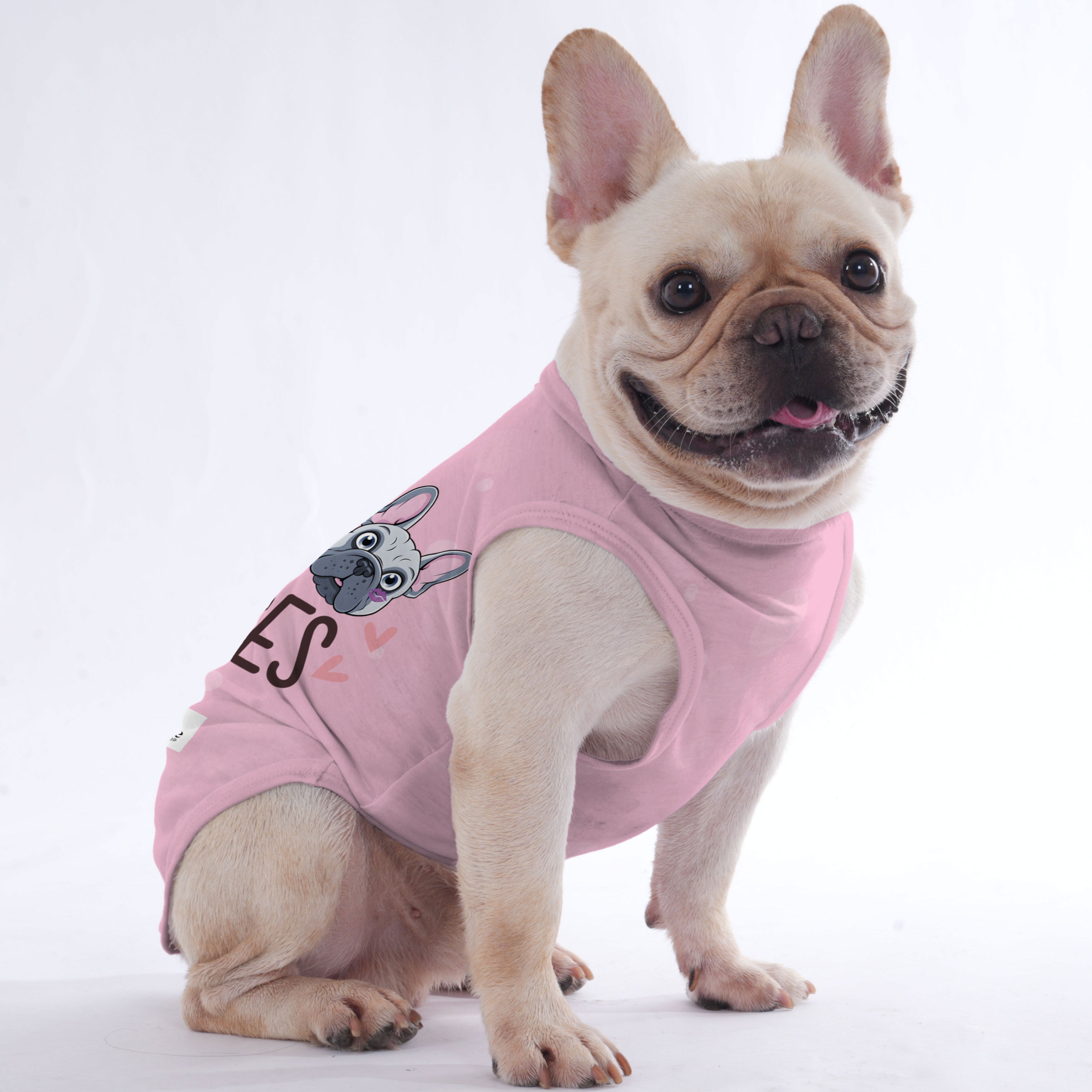 Patric French Bulldog Dog Outfit for Outdoor Adventures-fadou