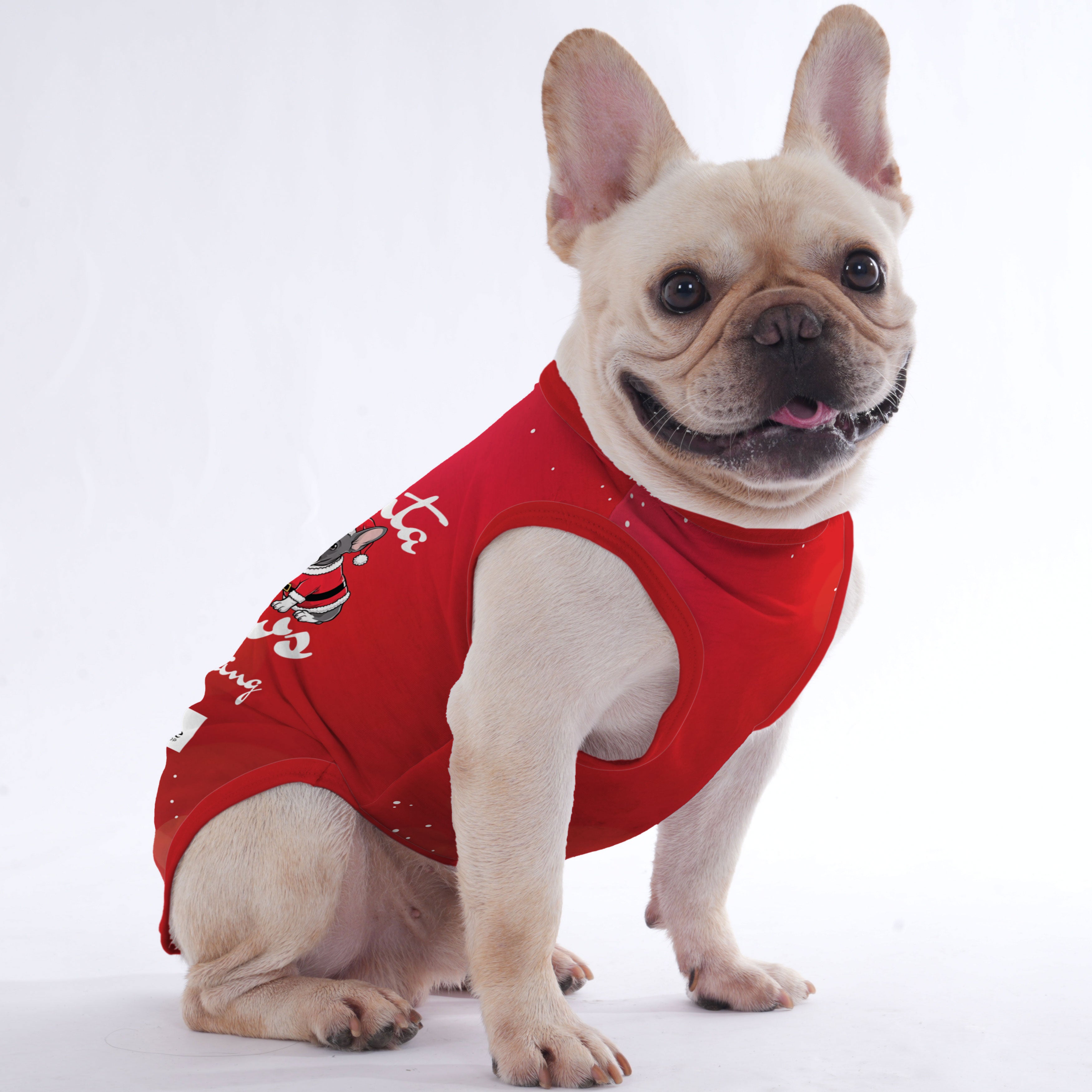 Rachelle French Bulldog Accessory for Frenchie Enthusiasts-fadou