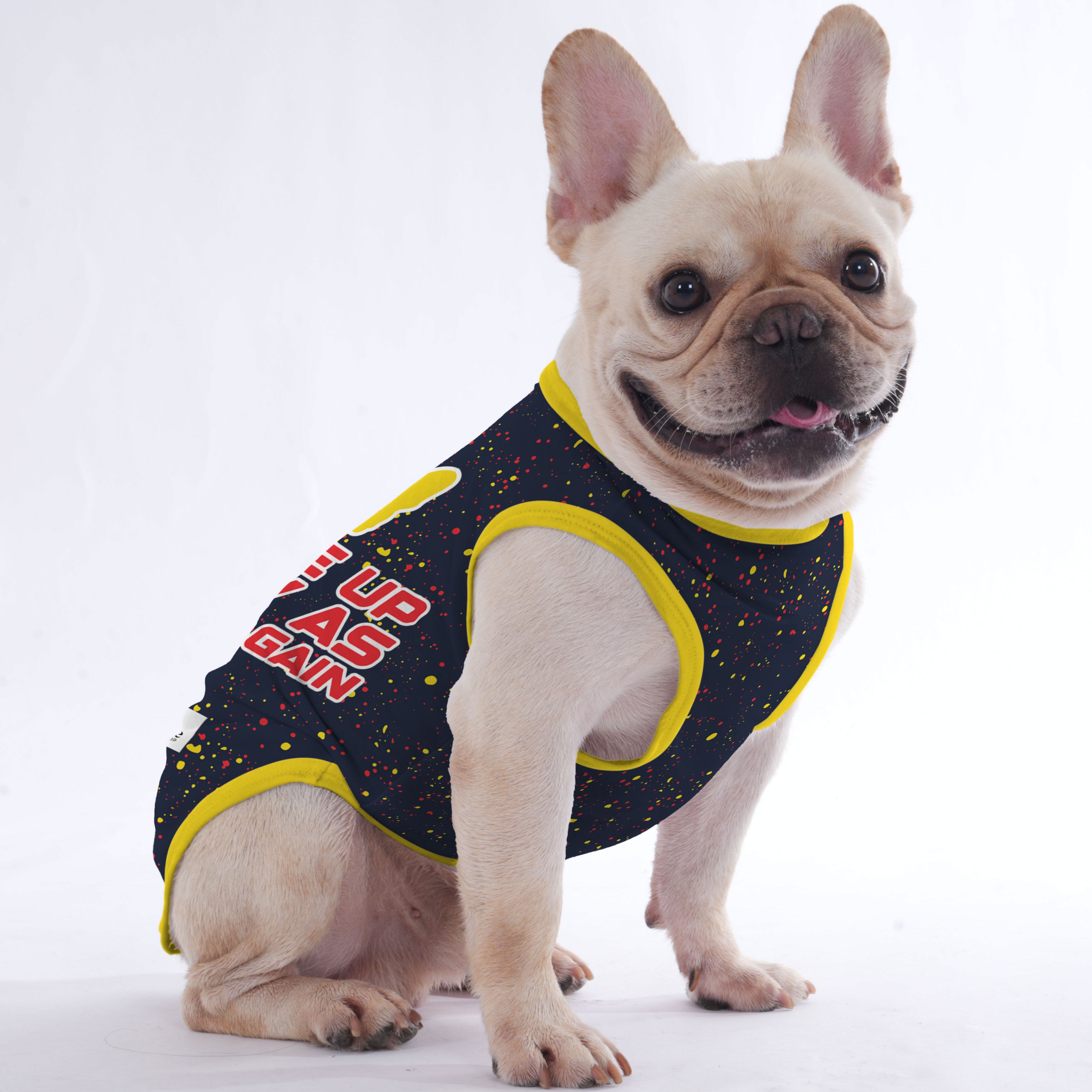 Georgette French Bulldog Dog Shirt for Short-Nosed Dogs-fadou