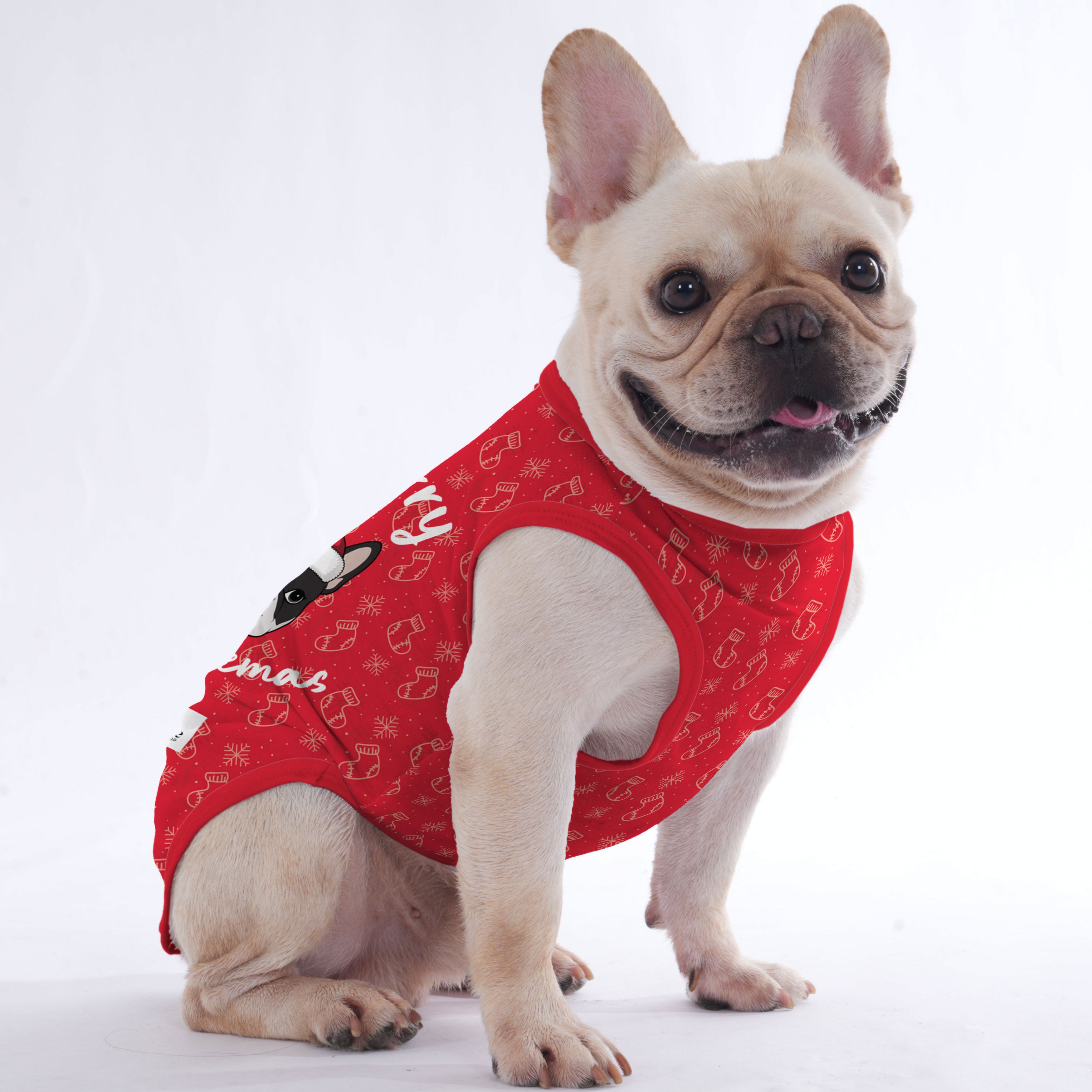 French Bulldog Velvet Dog Outfit for Outdoor Adventures-fadou