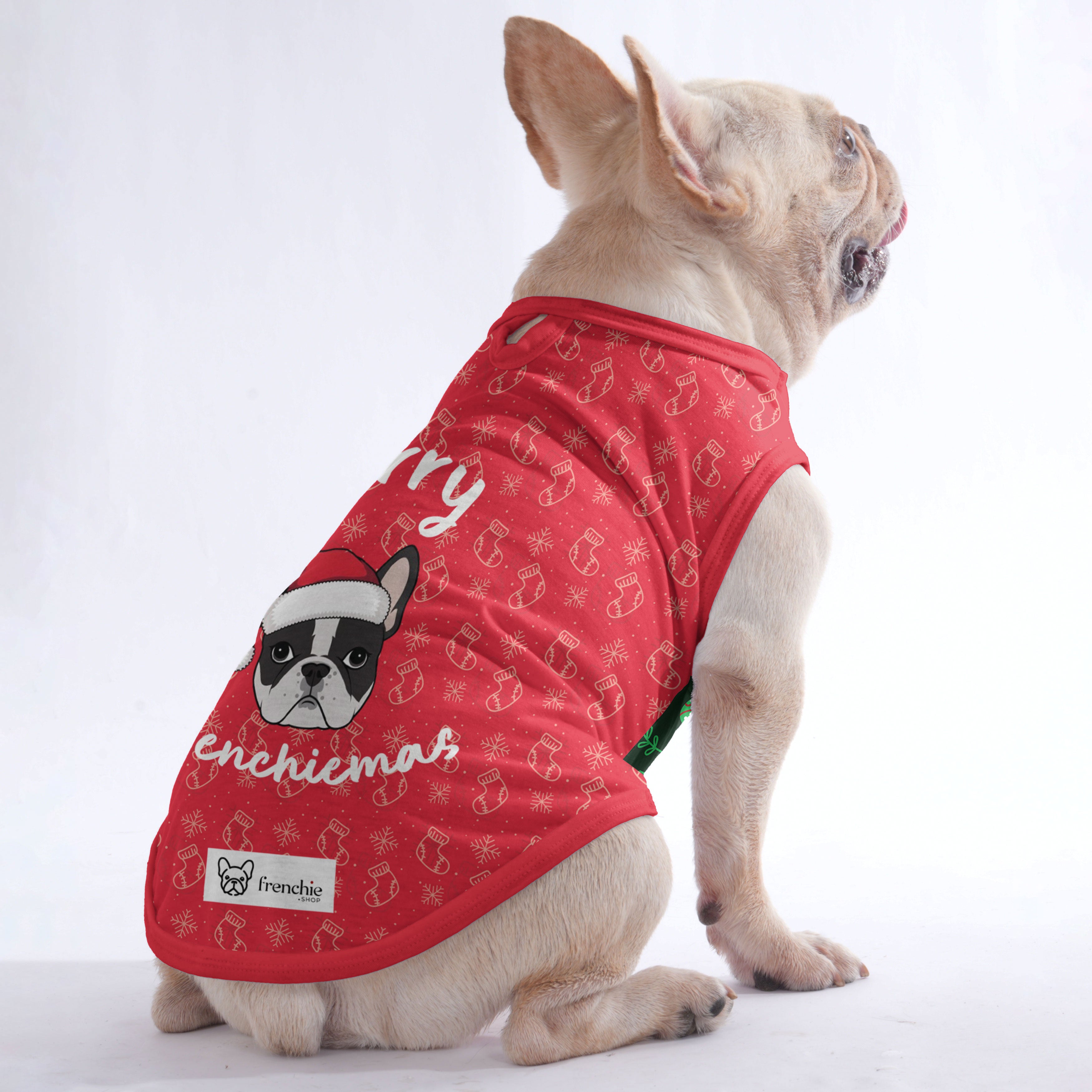 French Bulldog Velvet Dog Outfit for Outdoor Adventures-fadou
