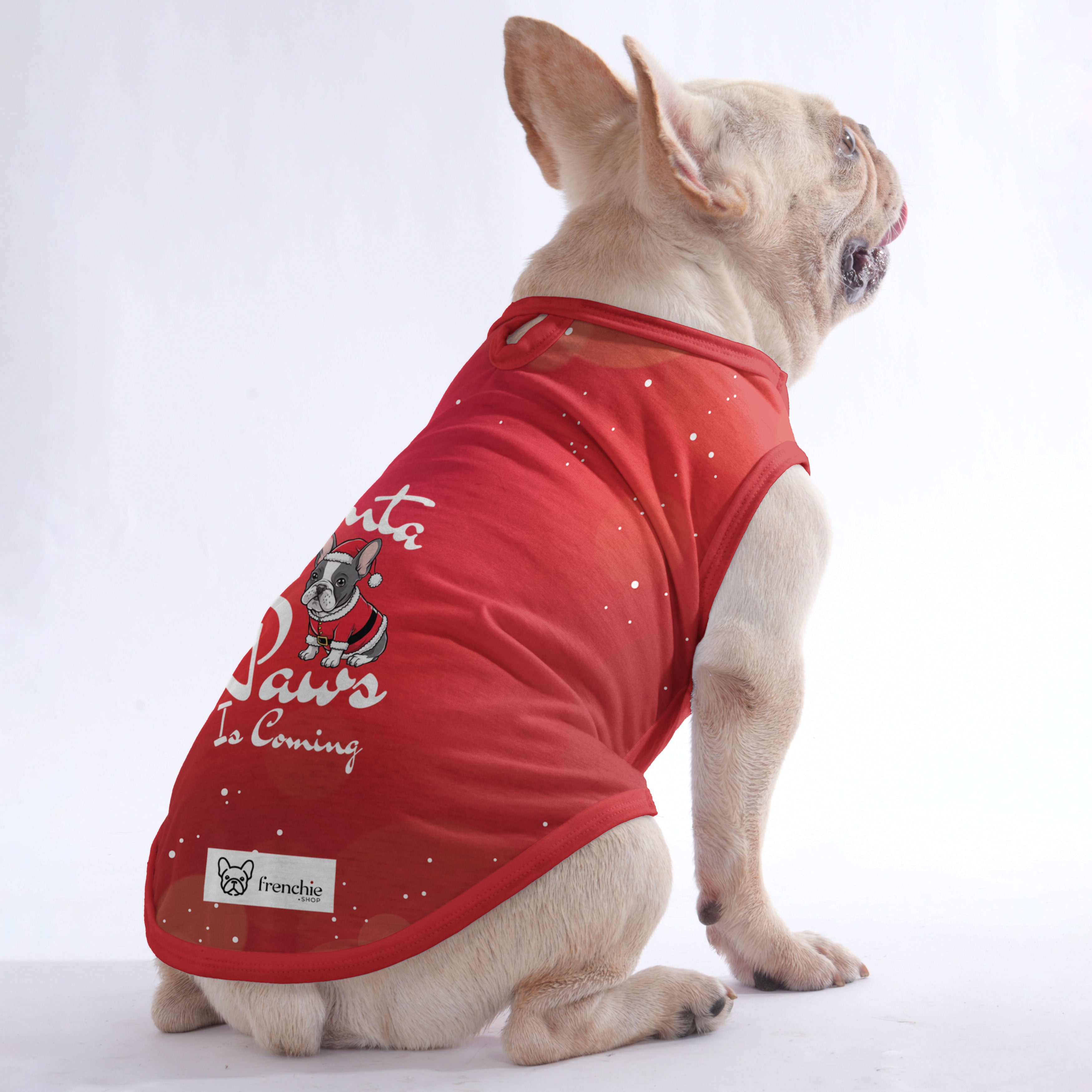 Rachelle French Bulldog Accessory for Frenchie Enthusiasts-fadou