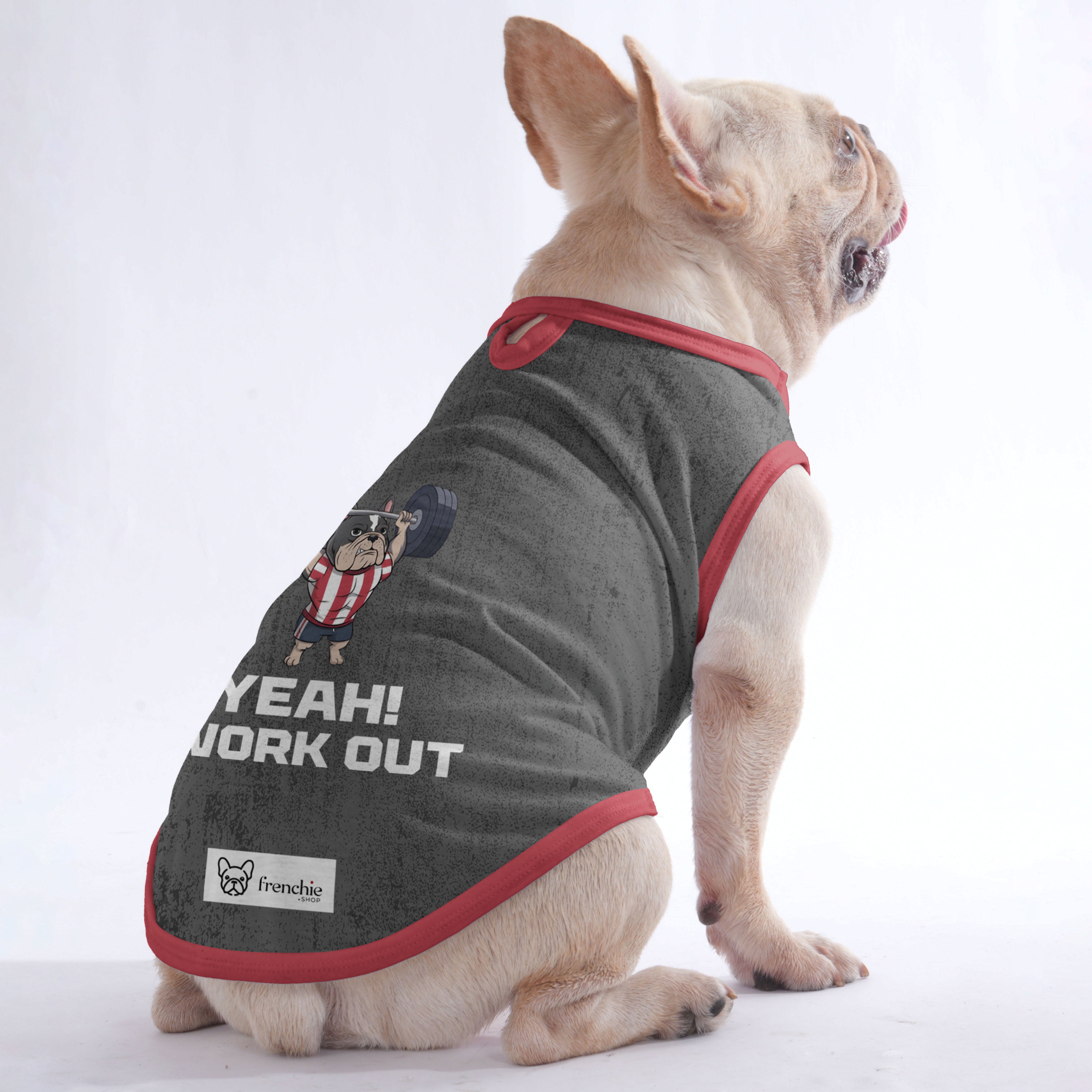 Jacqueline French Bulldog Pet Top for Outdoor Adventures-fadou