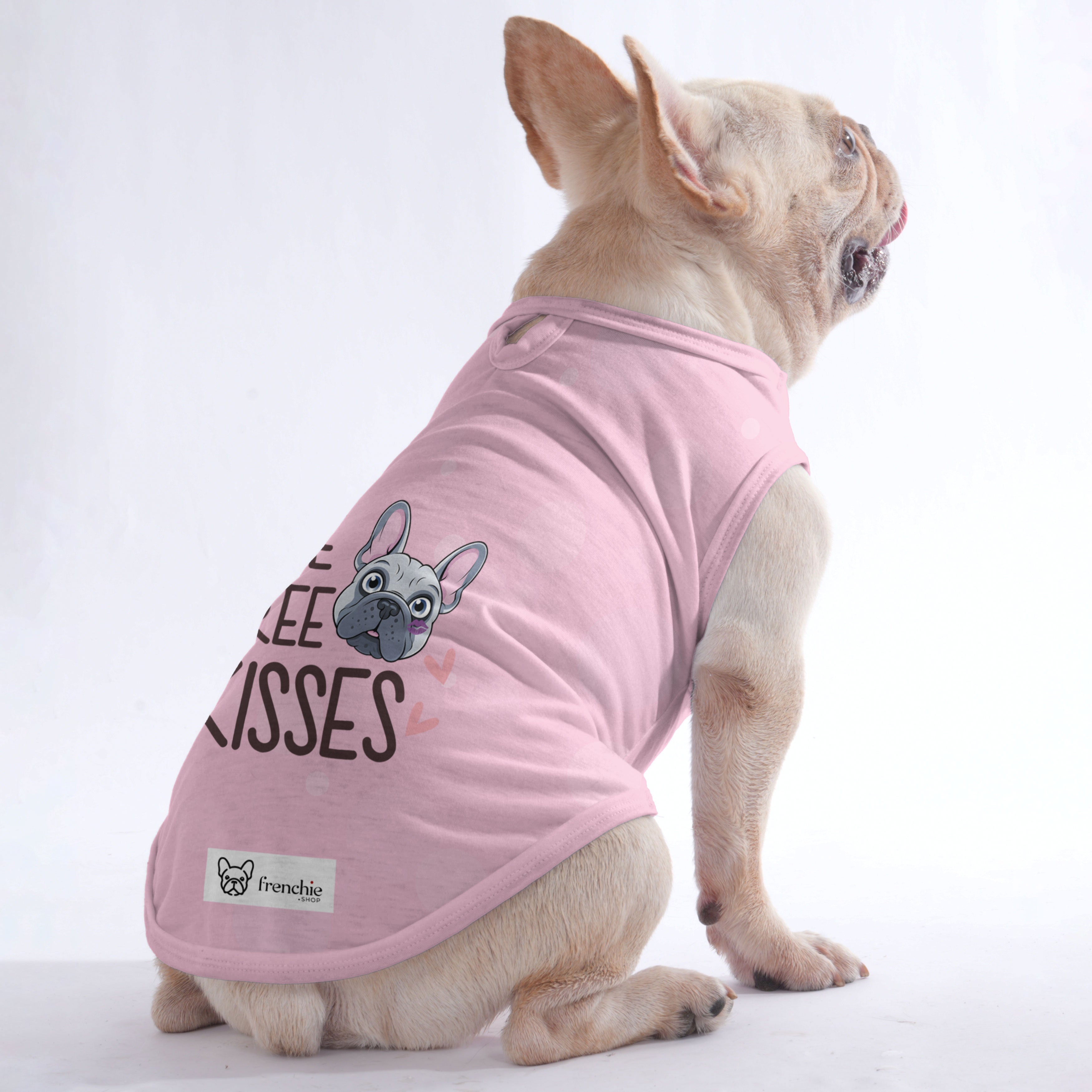 Patric French Bulldog Dog Outfit for Outdoor Adventures-fadou