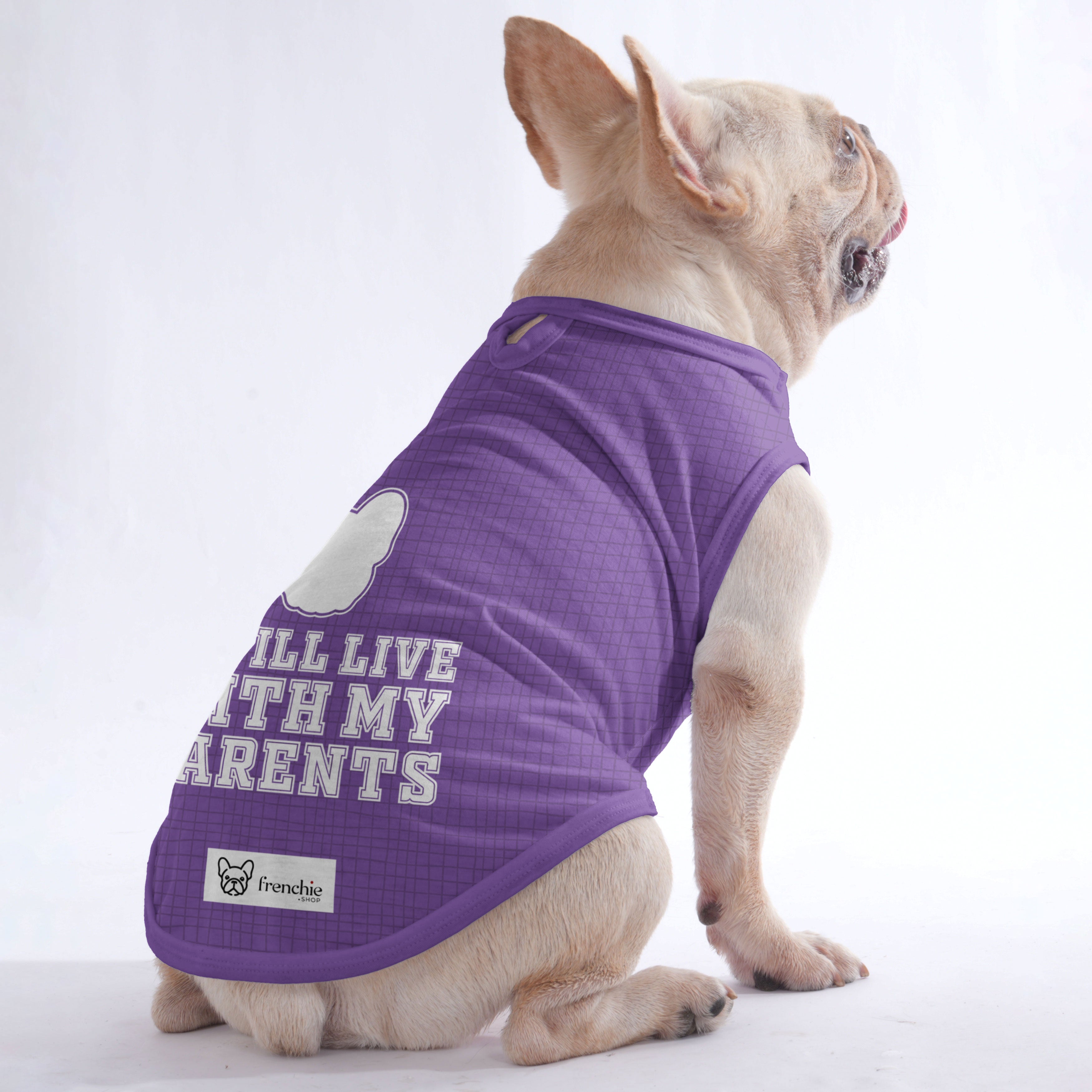 Adele - Shirt for Frenchies - Frenchie Shop Original for Travel Comfort-fadou