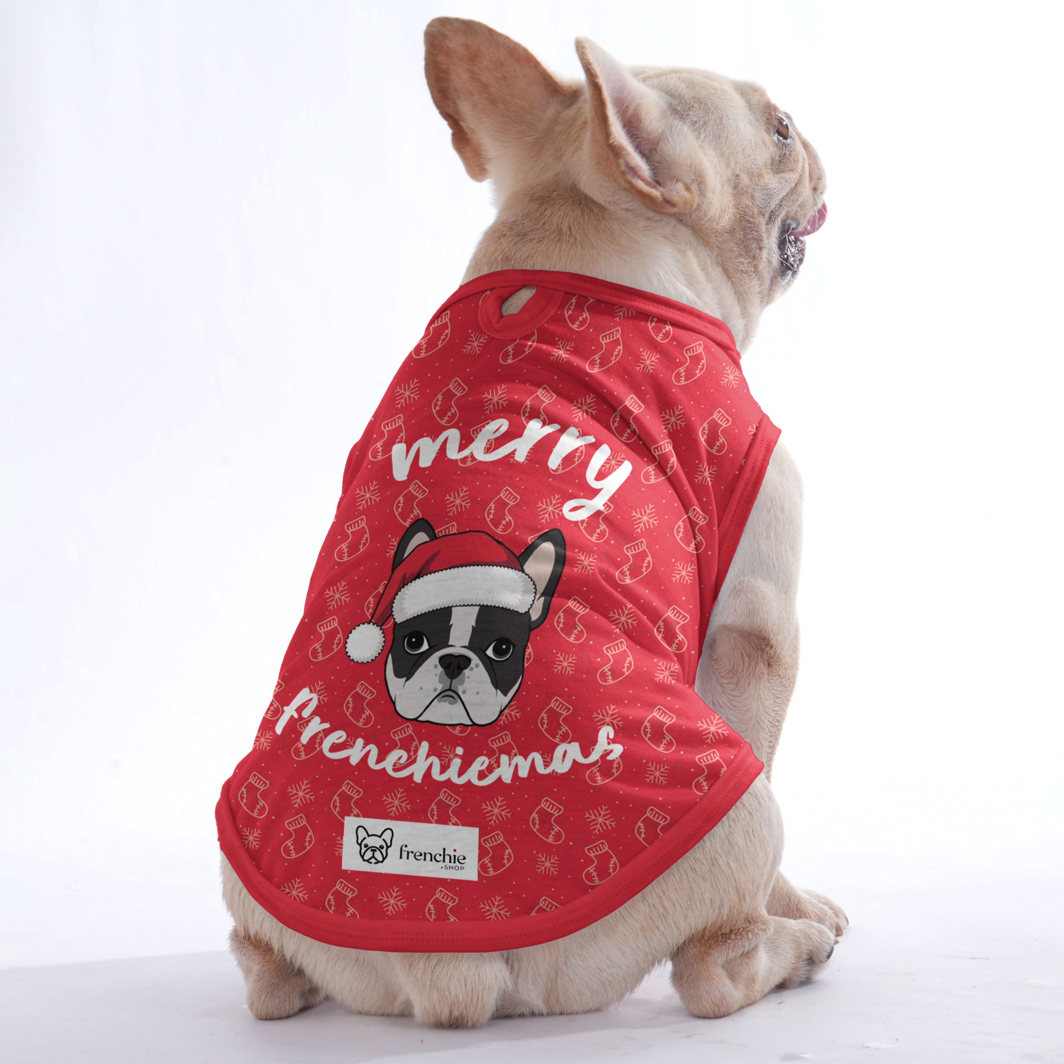 French Bulldog Velvet Dog Outfit for Outdoor Adventures-fadou
