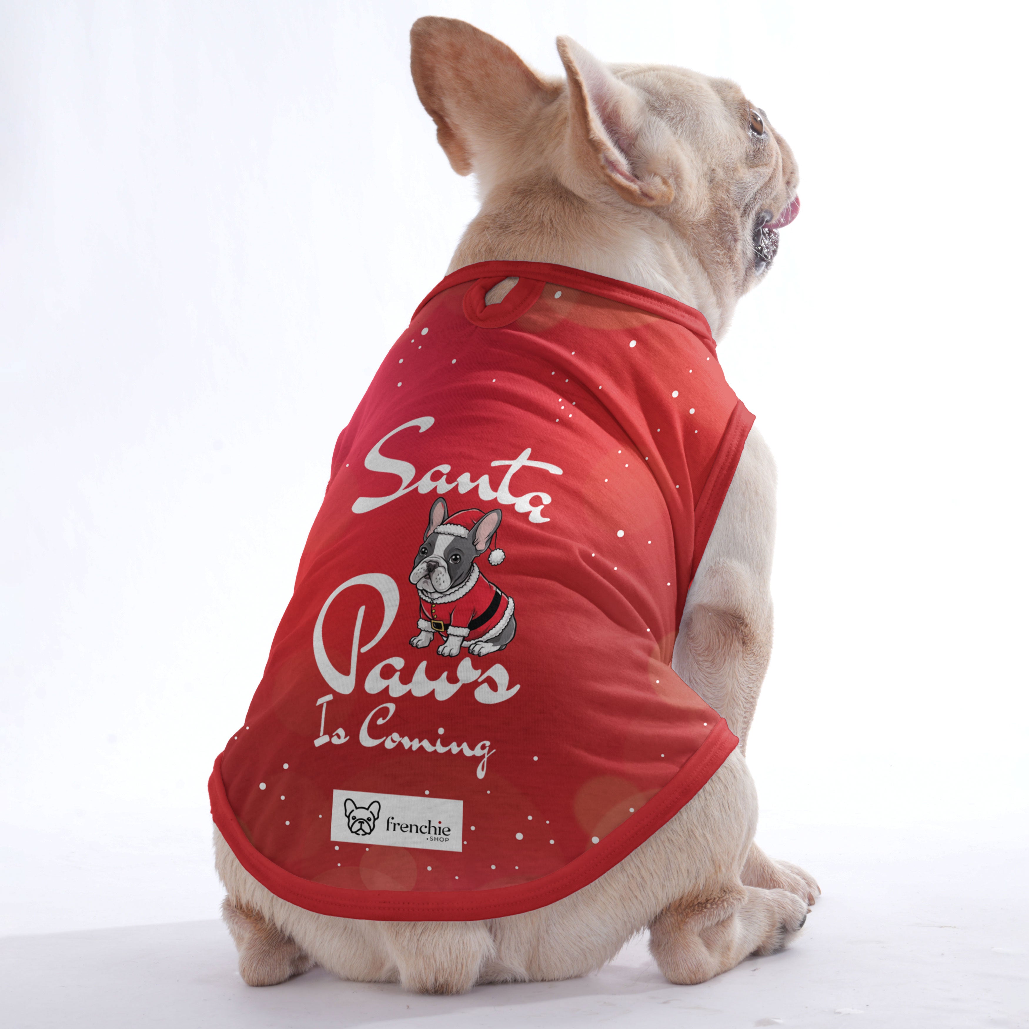 Rachelle French Bulldog Accessory for Frenchie Enthusiasts-fadou