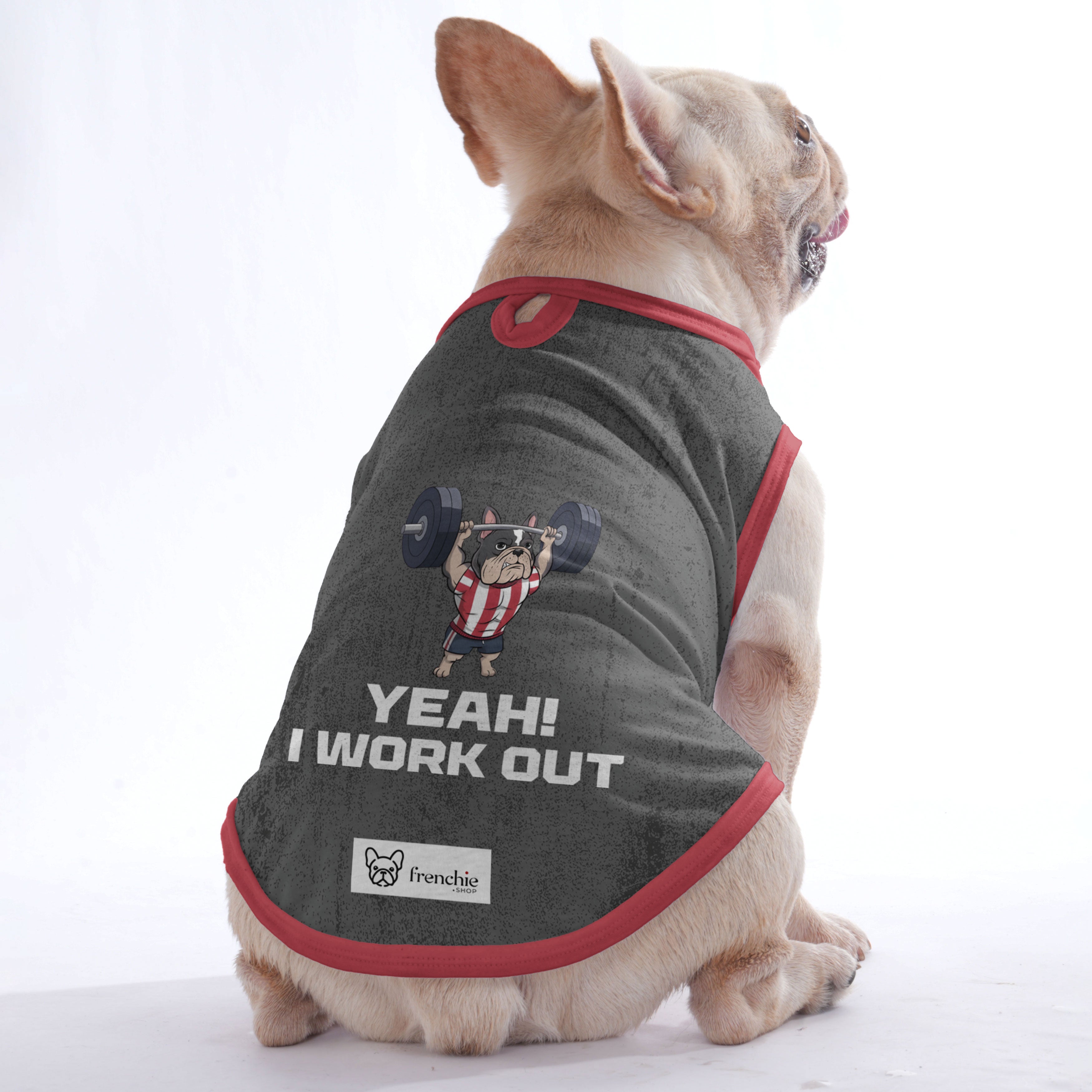 Jacqueline French Bulldog Pet Top for Outdoor Adventures-fadou