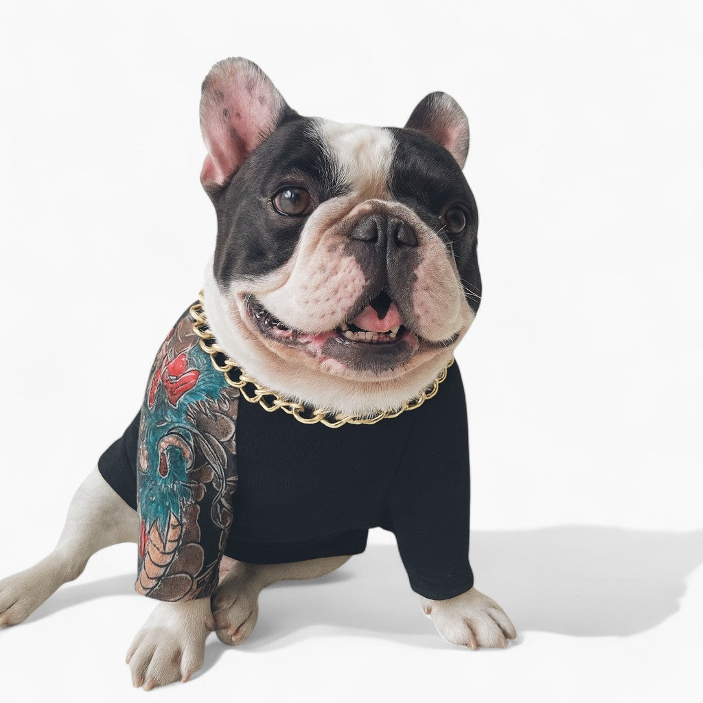 Skindura Frenchie Festive Costume for Training Sessions-fadou