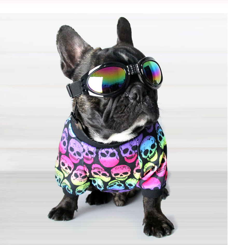 Skull French Bulldog Cotton Tee for Brachycephalic Dogs-fadou