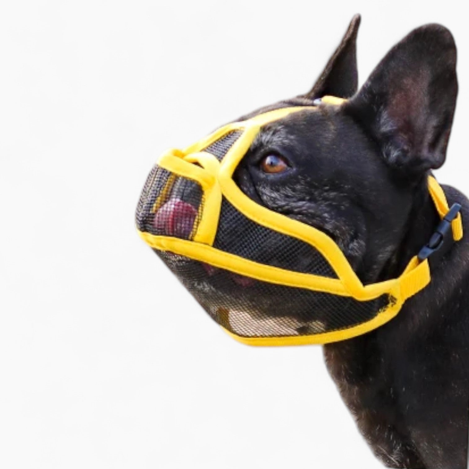 French Bulldog Breathable Dog Muzzle for Travel Comfort-fadou
