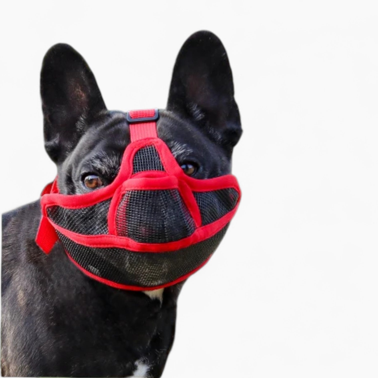 French Bulldog Breathable Dog Muzzle for Travel Comfort-fadou