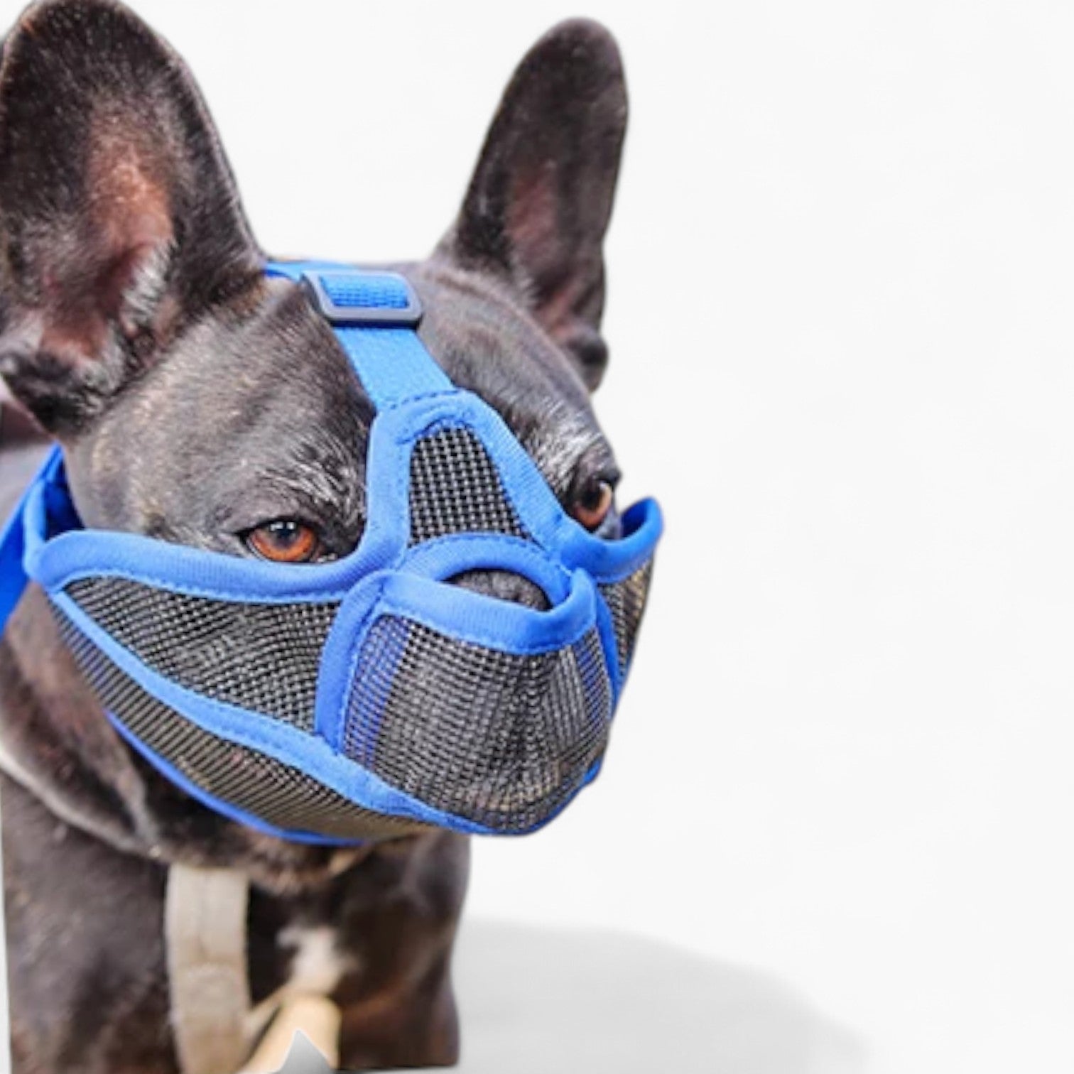 French Bulldog Breathable Dog Muzzle for Travel Comfort-fadou