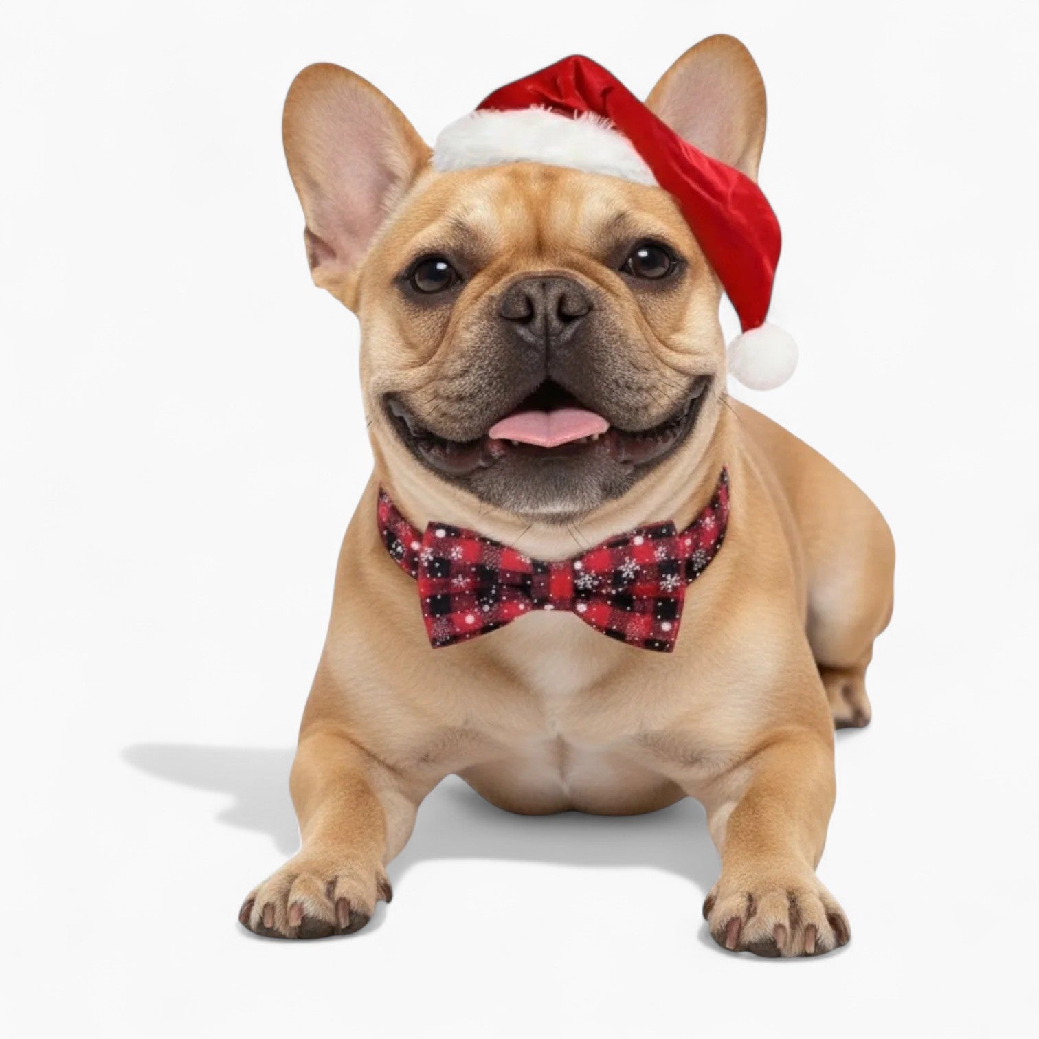 French Bulldog Adjustable Neck Collar for French Bulldogs-fadou