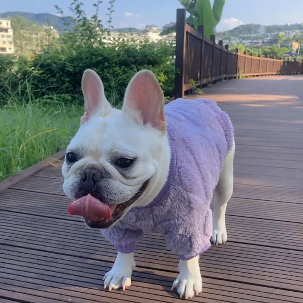 French Bulldog Winter Warm Knitwear for Brachycephalic Dogs-fadou