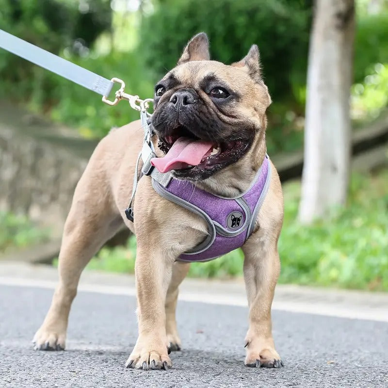 French Bulldog Breathable Chest Harness for Short-Nosed Dogs-fadou