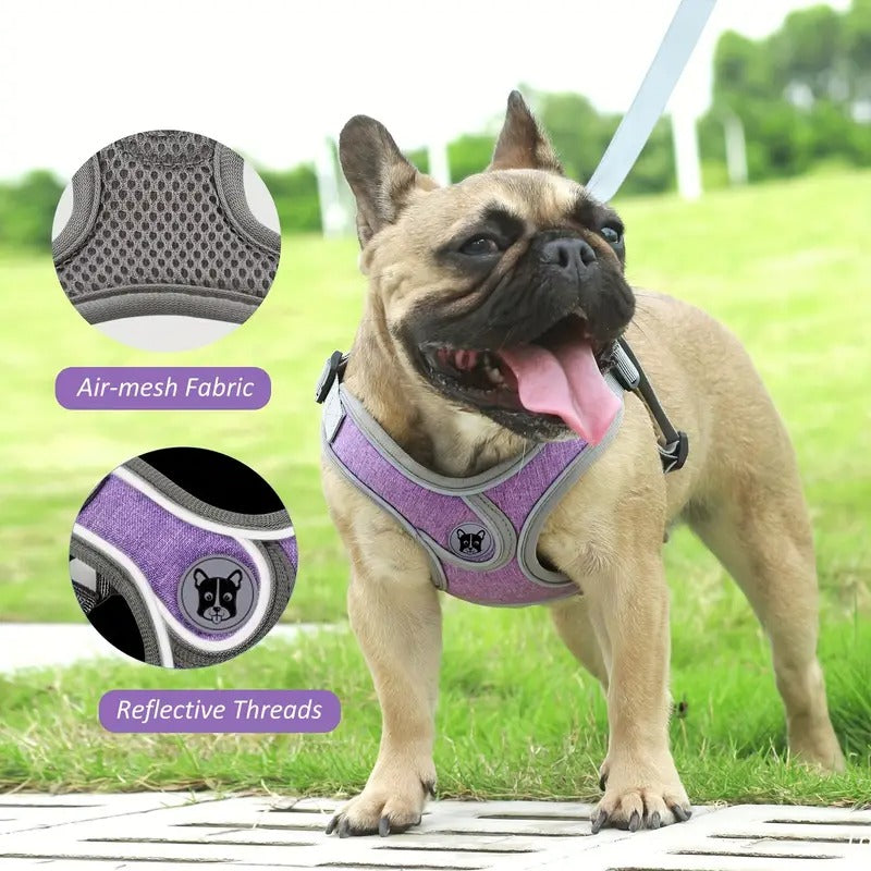 French Bulldog Breathable Chest Harness for Short-Nosed Dogs-fadou