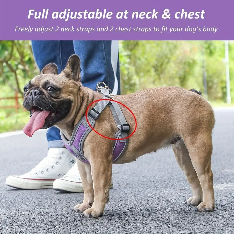 French Bulldog Breathable Chest Harness for Short-Nosed Dogs-fadou