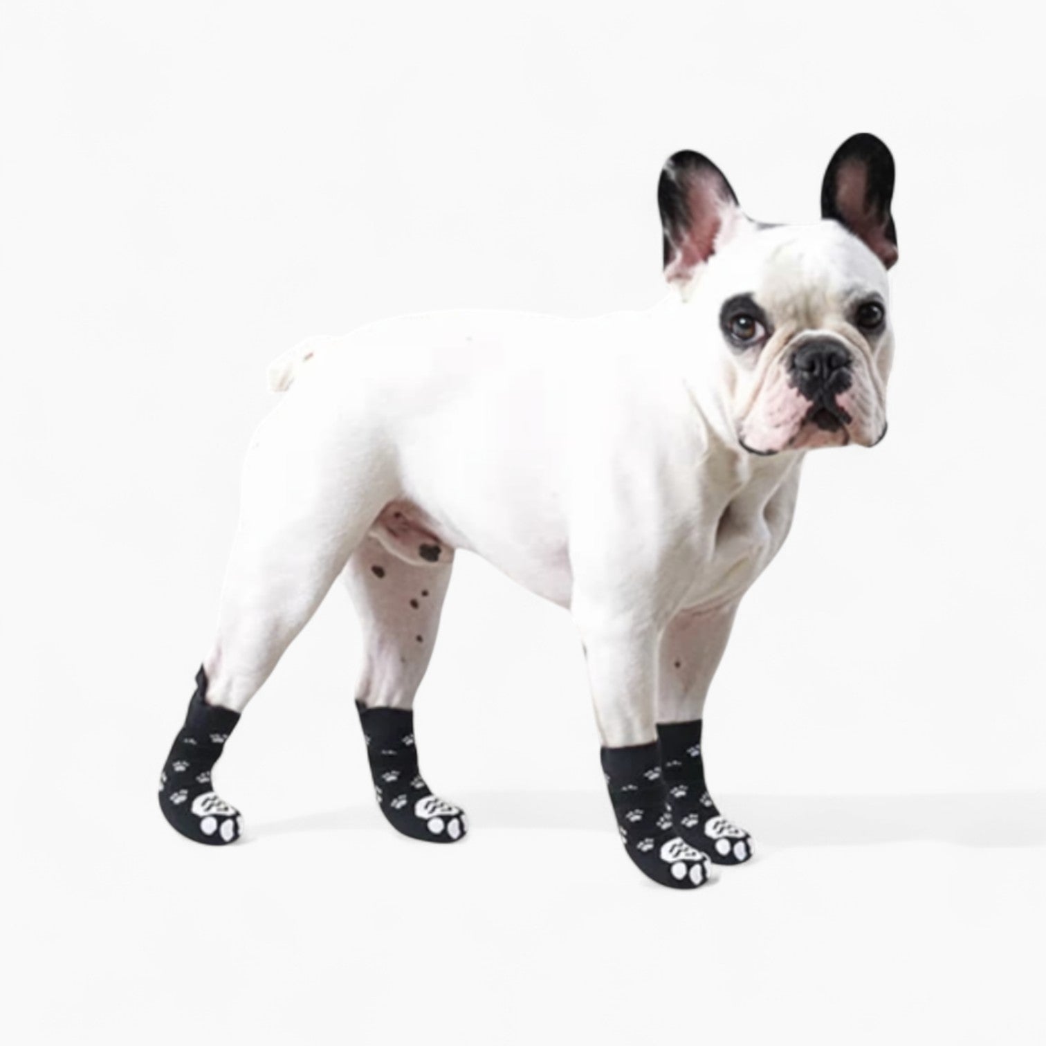 French Bulldog Adjustable Product for Frenchie Enthusiasts-fadou
