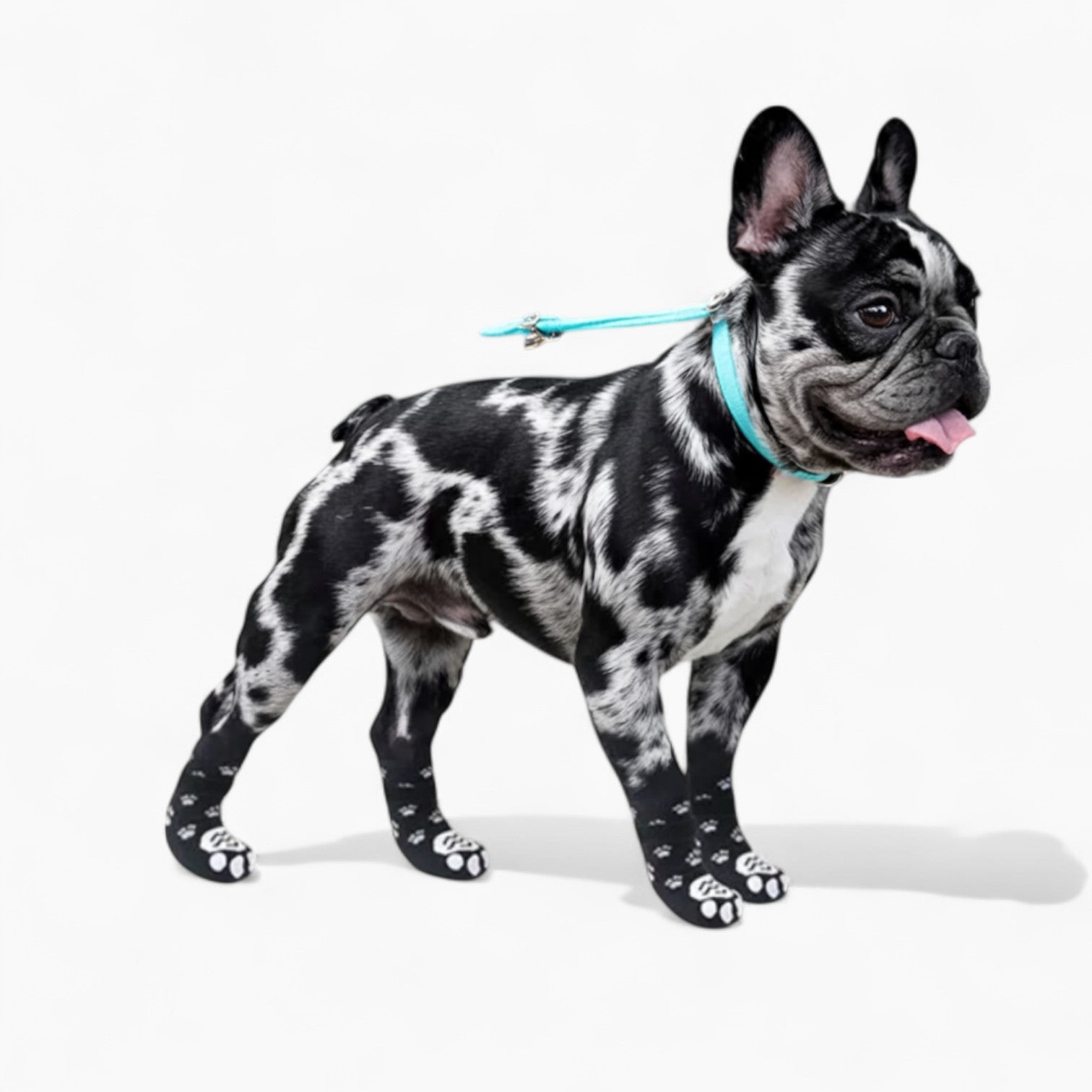 French Bulldog Adjustable Product for Frenchie Enthusiasts-fadou