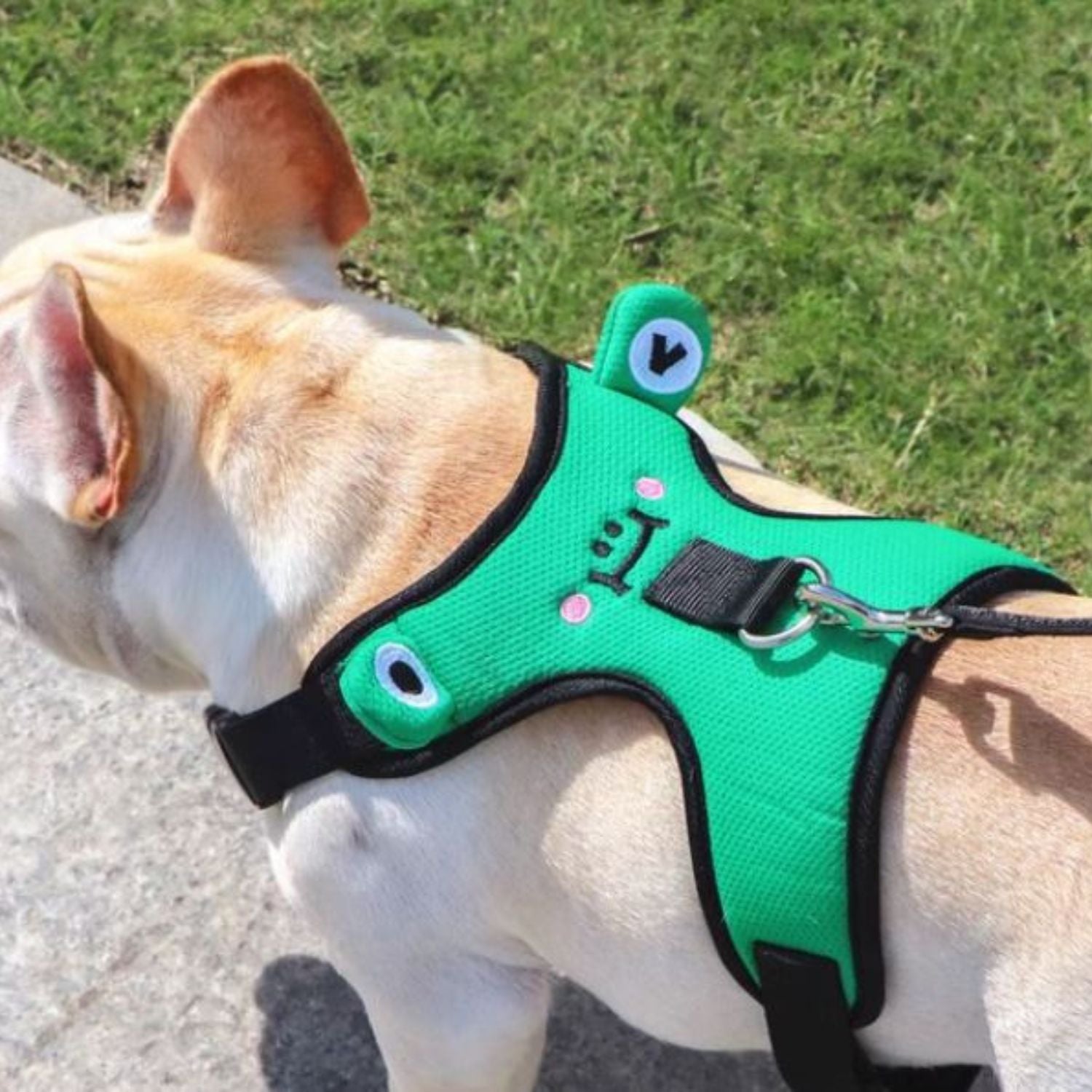 French Bulldog Soft Walking Harness for Training Sessions-fadou