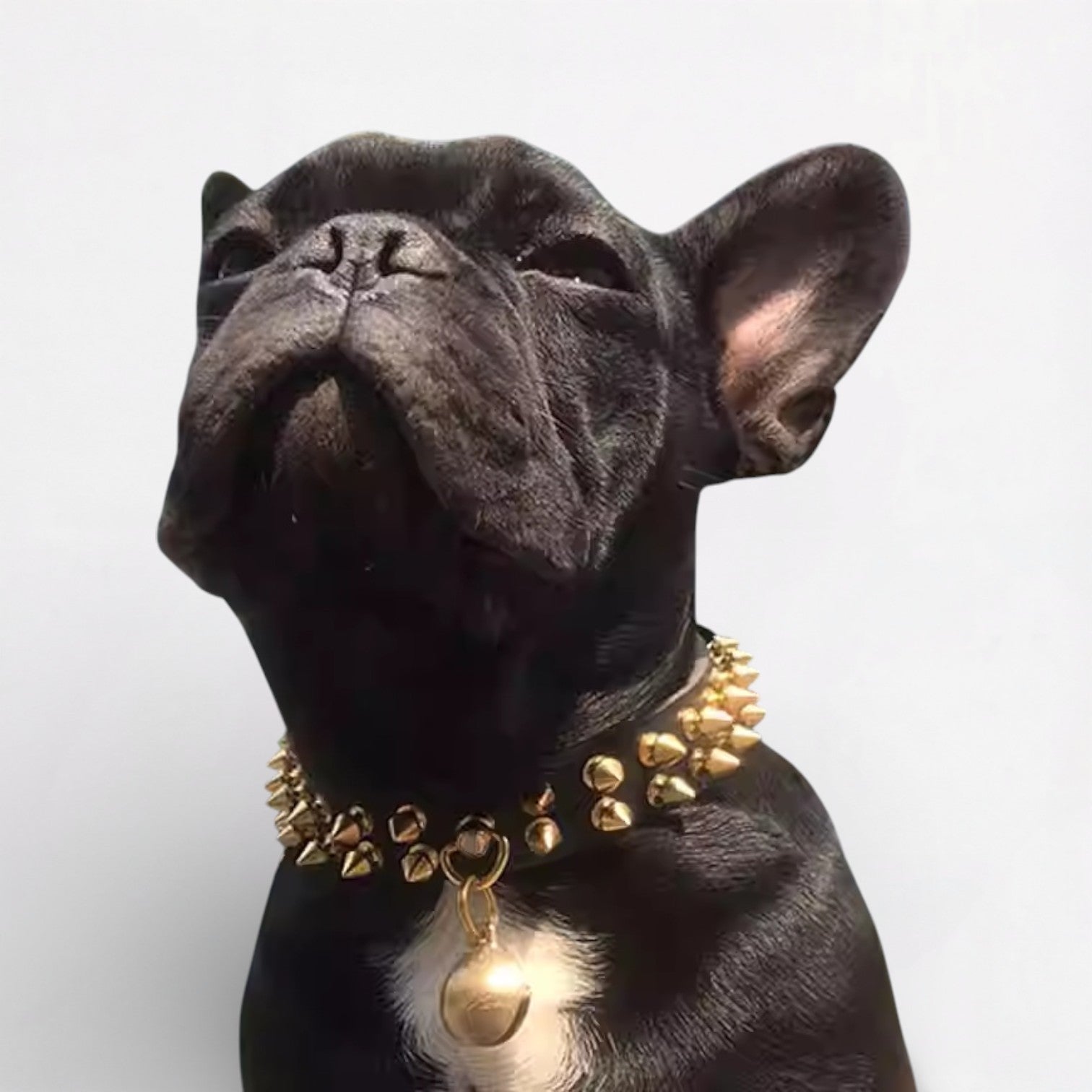French Bulldog Leather Neck Collar for Short-Nosed Dogs-fadou