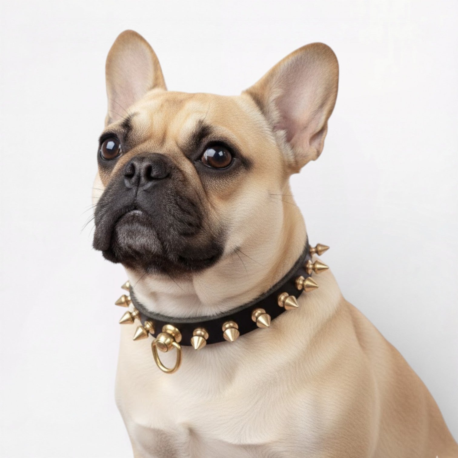 French Bulldog Leather Neck Collar for Short-Nosed Dogs-fadou