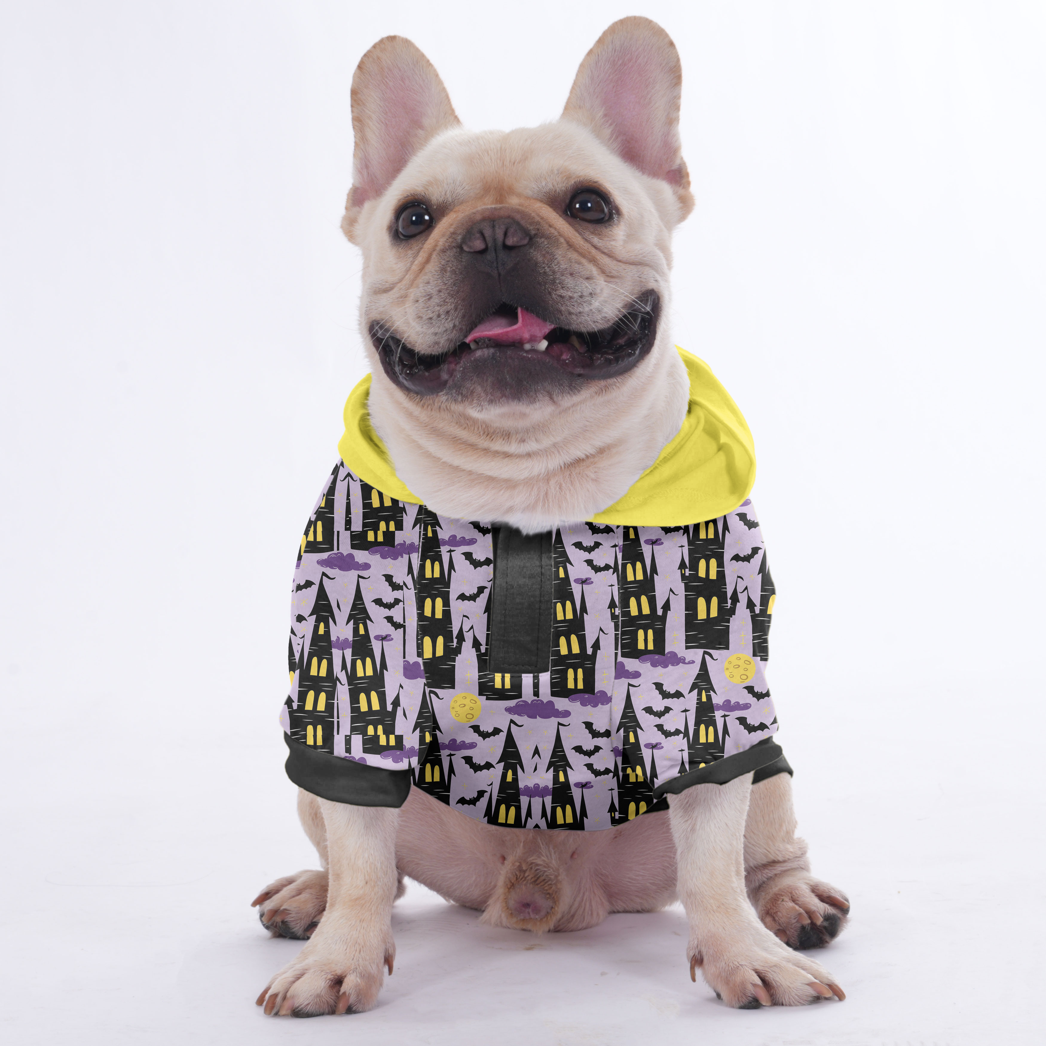 Spring French Bulldog Cozy Hoodie for Training Sessions-fadou