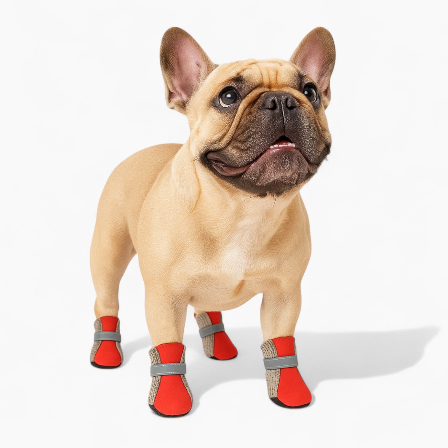 French Bulldog Breathable Leather Boots for Dog Park Days-fadou