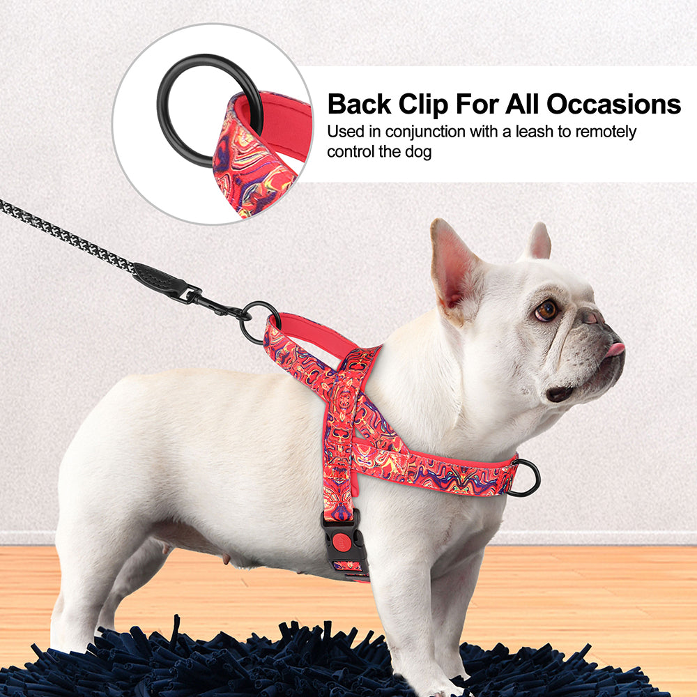 PrintPup No-Pull Walking Harness for Brachycephalic Dogs-fadou